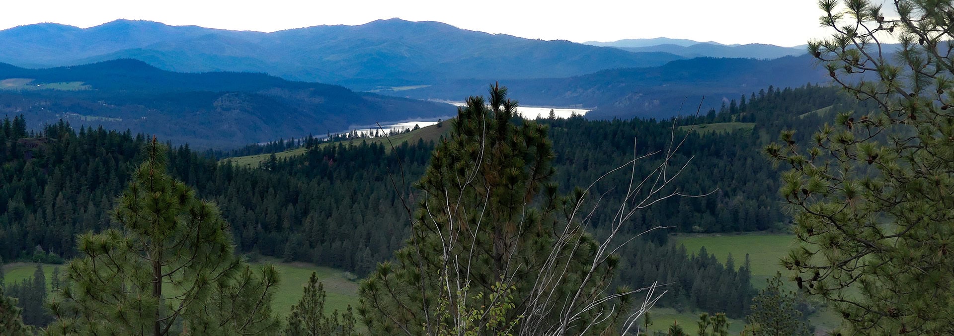 washington cattle ranch property for sale elk ridge