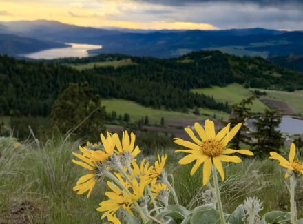 washington land for sale elk ridge