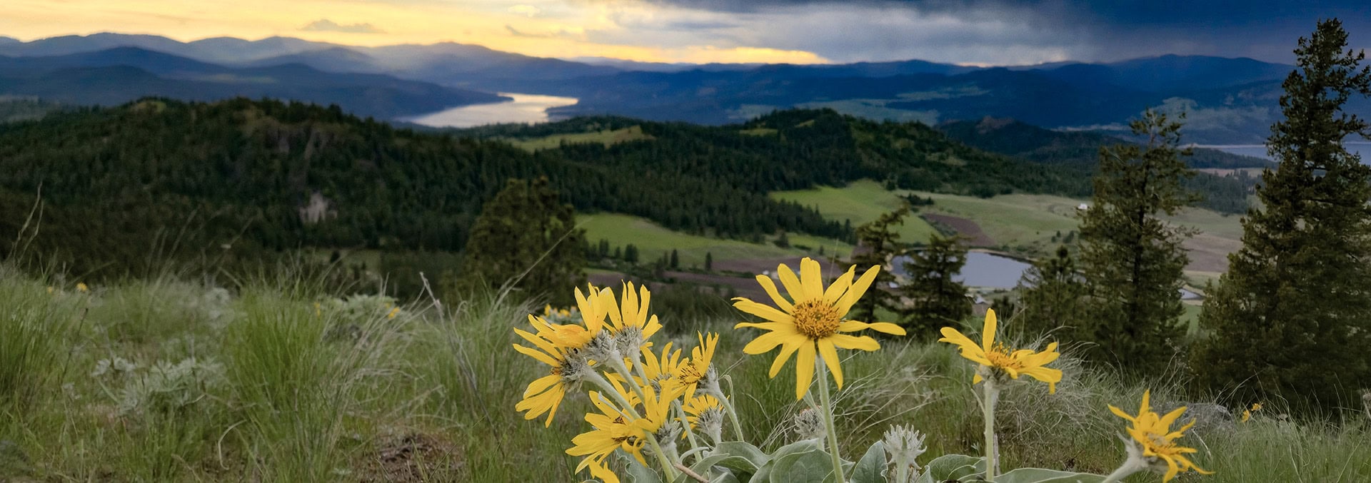 washington land for sale elk ridge