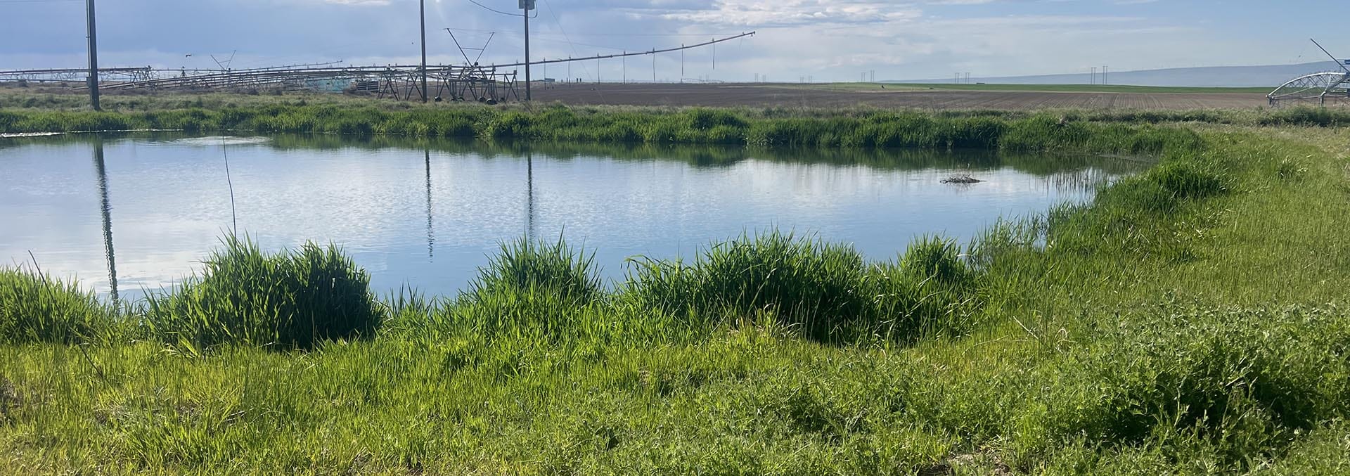 washington land for sale preston organic irrigated farm