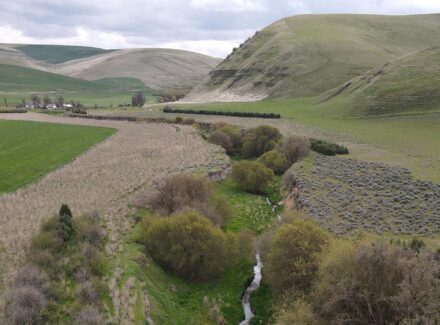 washington land for sale whitmore hereford cattle ranch