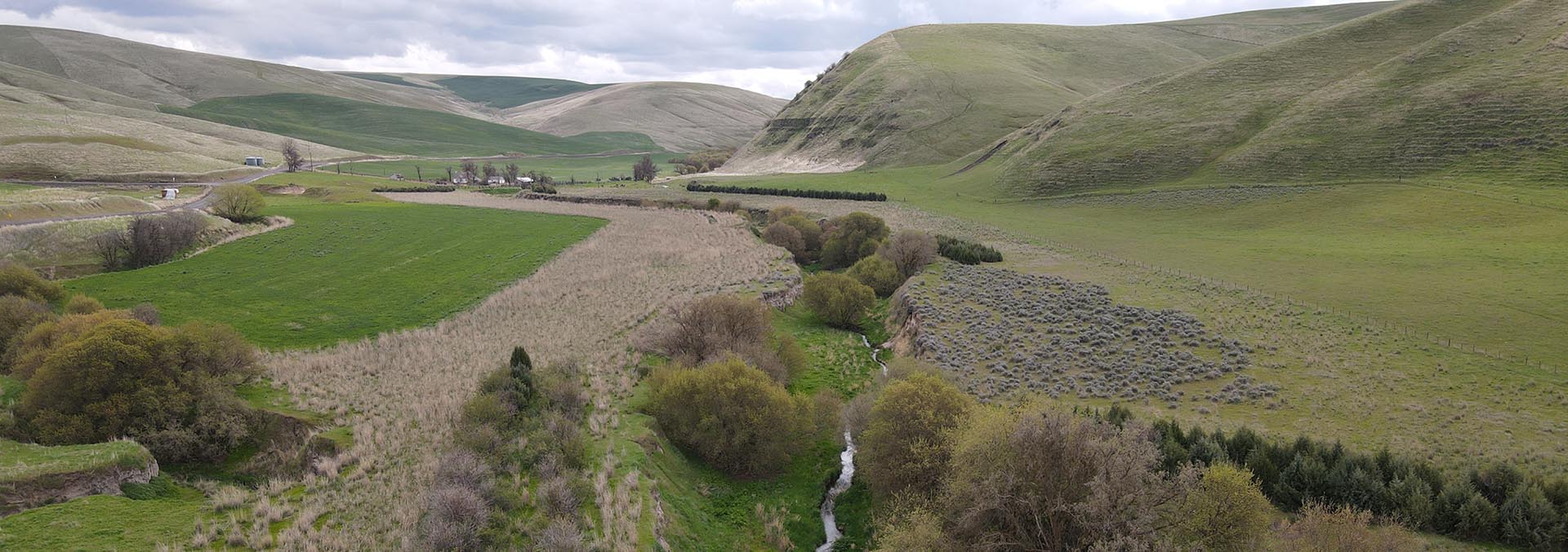 washington land for sale whitmore hereford cattle ranch