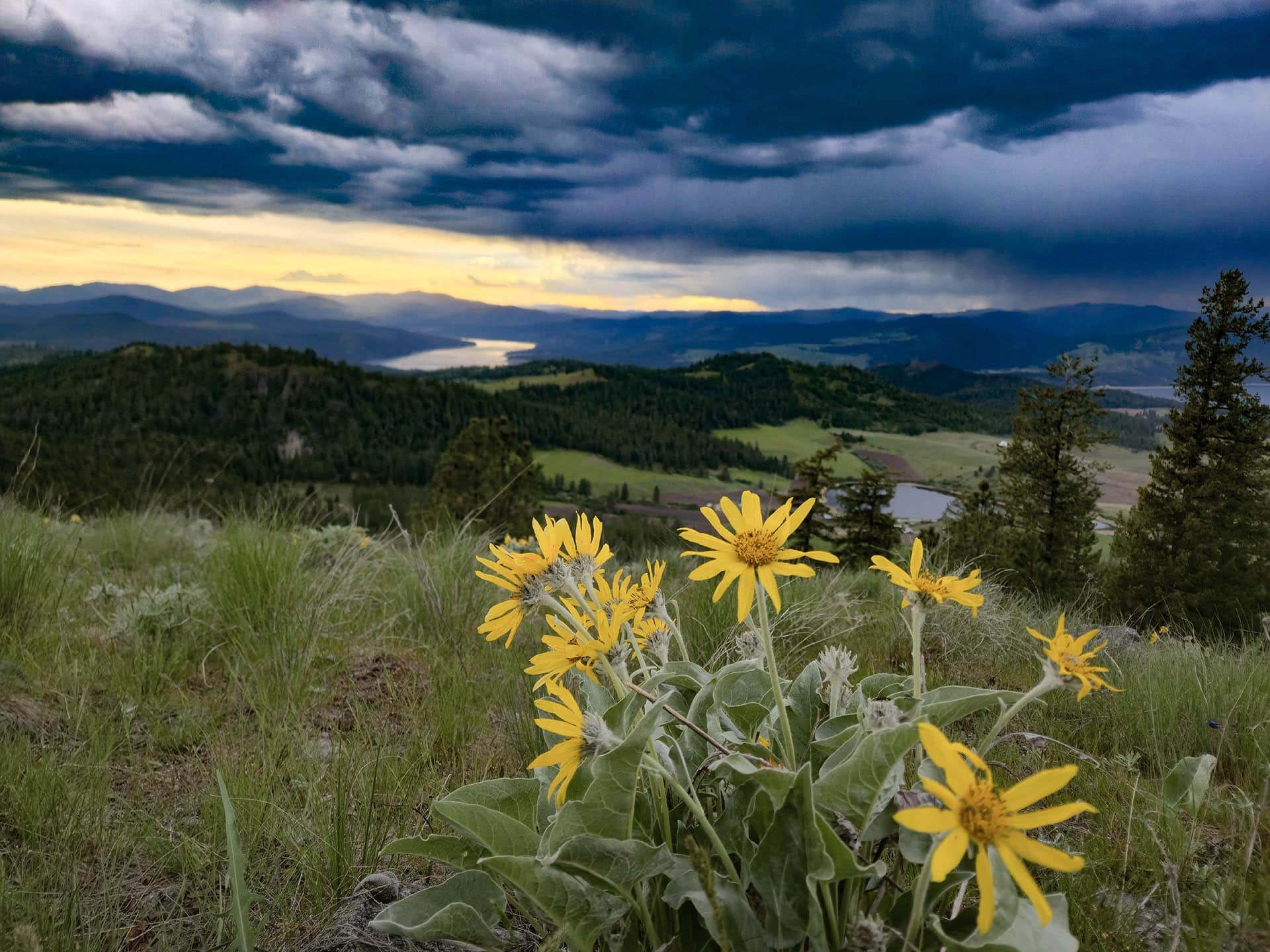 washington land with panoramic views elk ridge