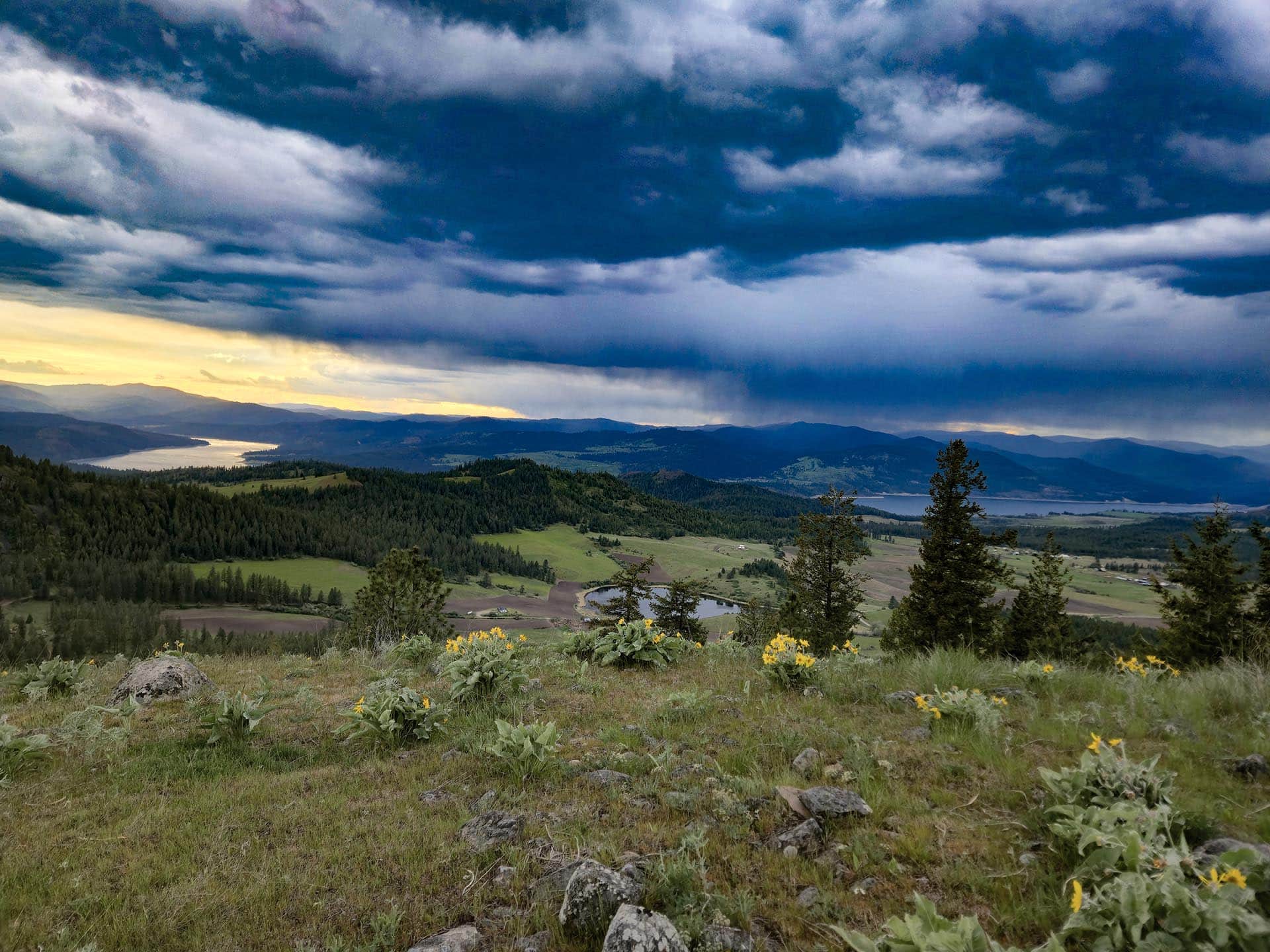 Wide valley with fields and forests, a winding river, and dark storm clouds overhead; yellow wildflowers in the foreground.