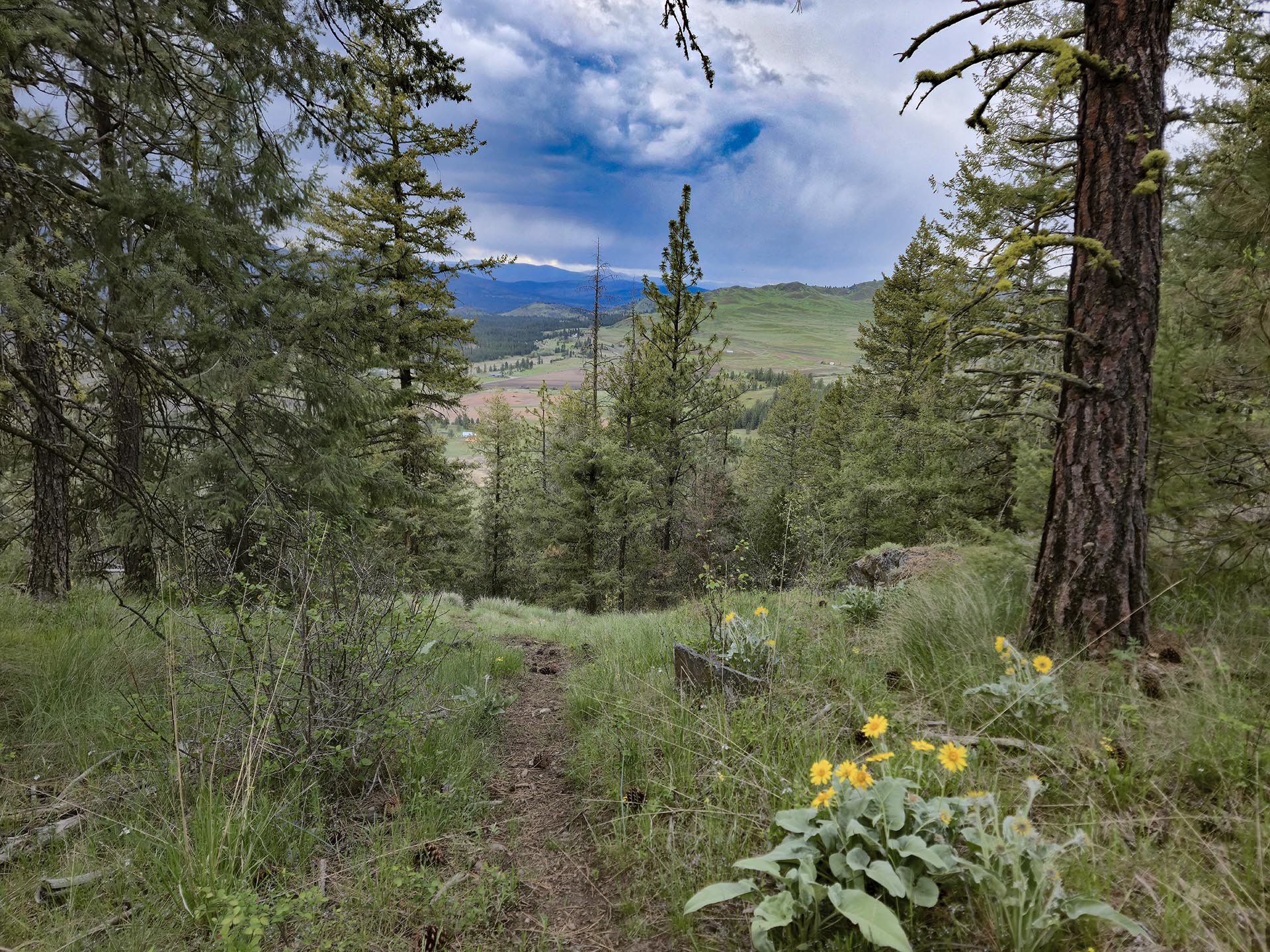 washington mountain view property elk ridge