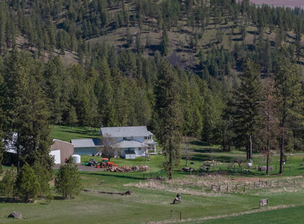 washington ranch for sale canyon ridge ranch
