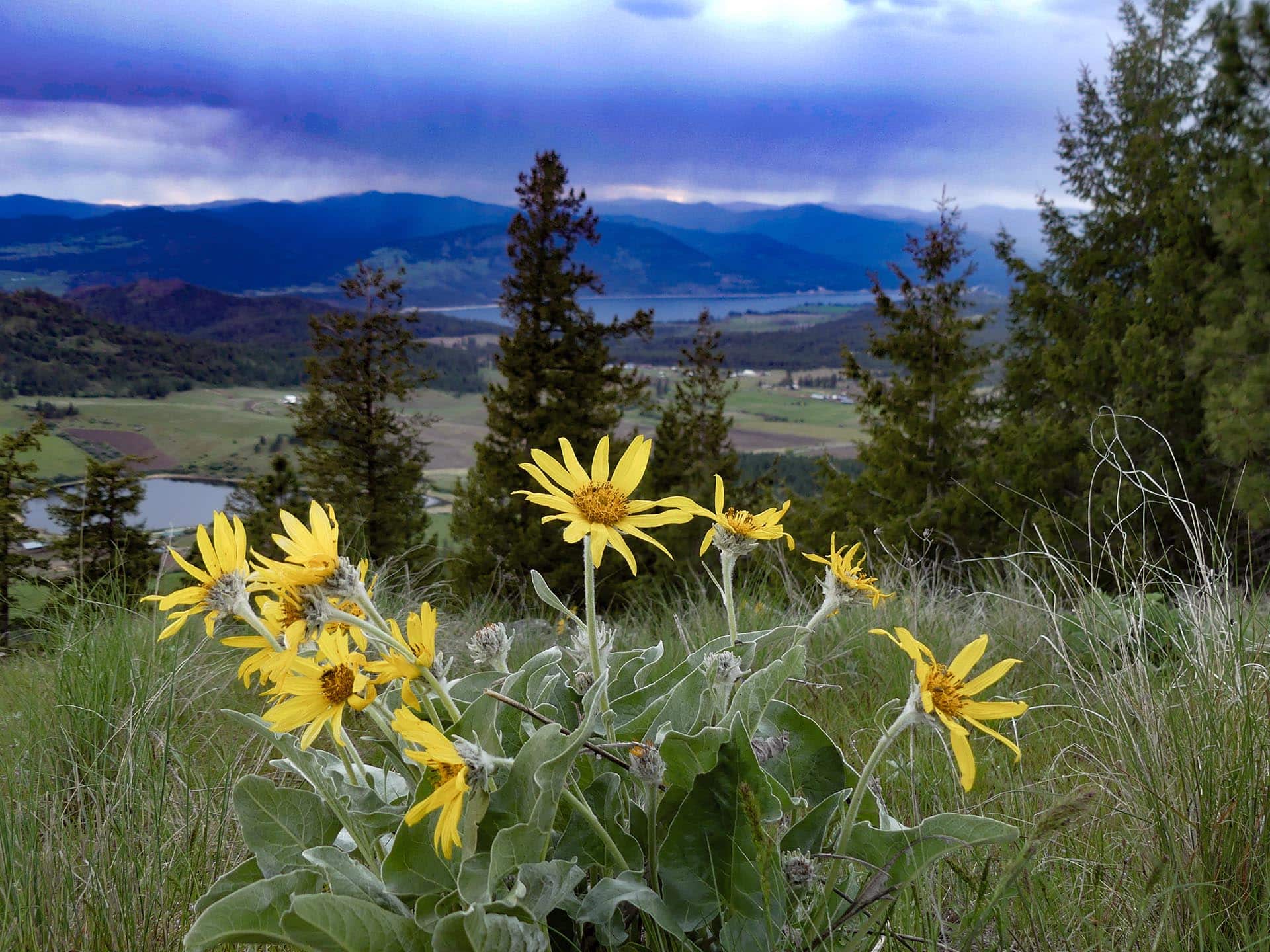 washington ranch with private road elk ridge
