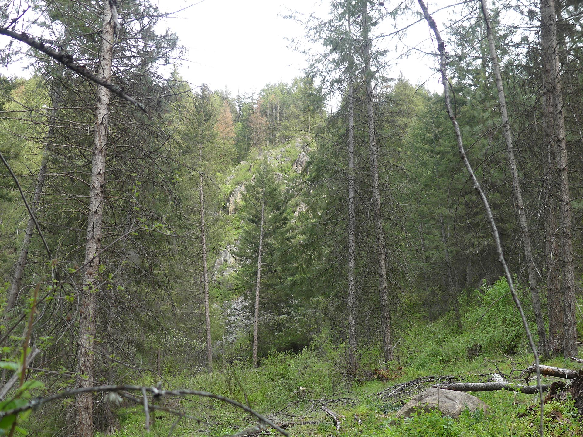 washington ranch with rolling hills elk ridge