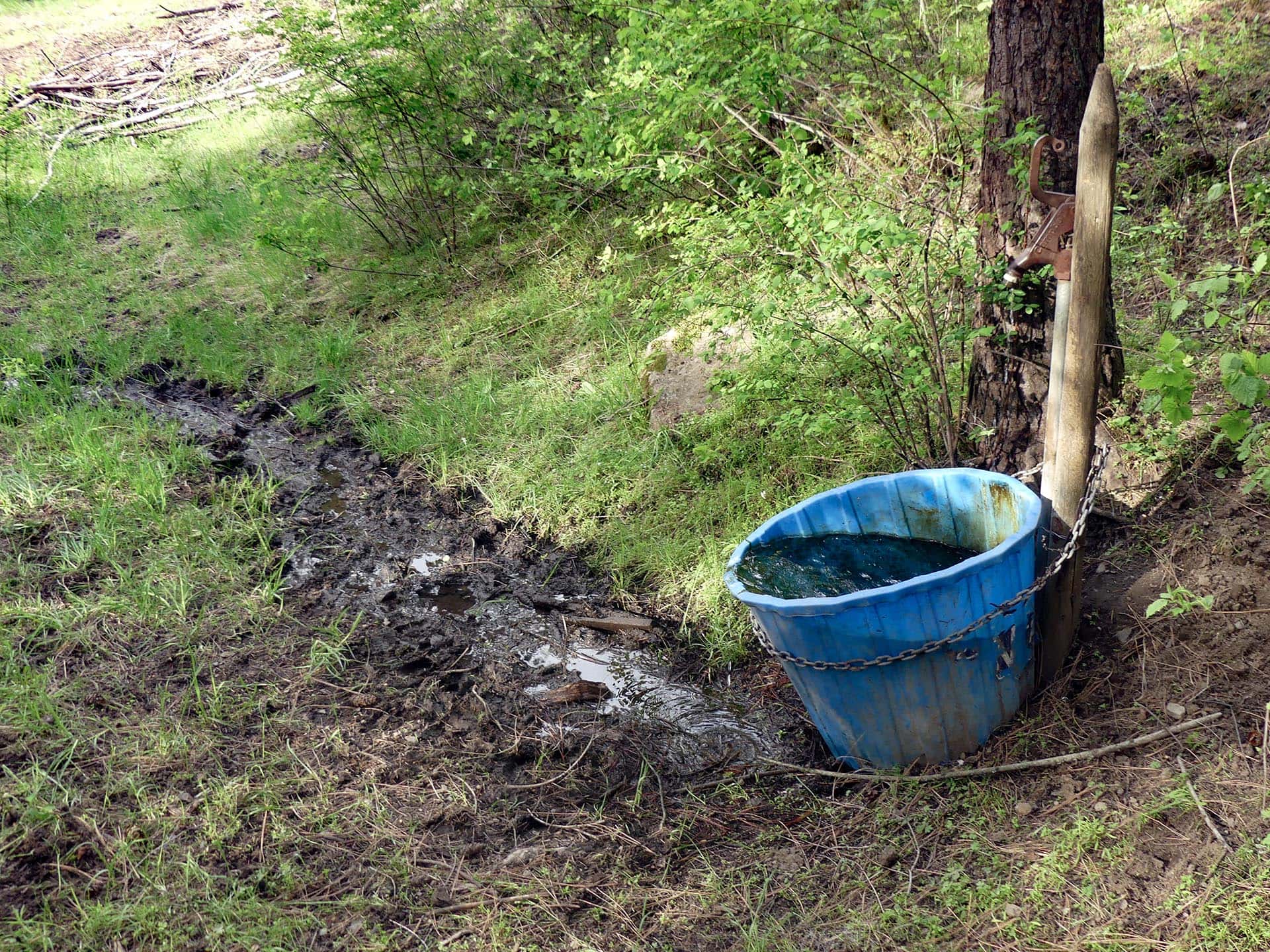 Blue plastic water trough attached to a wooden post beside a muddy, grassy ditch in a wooded area.”] ,