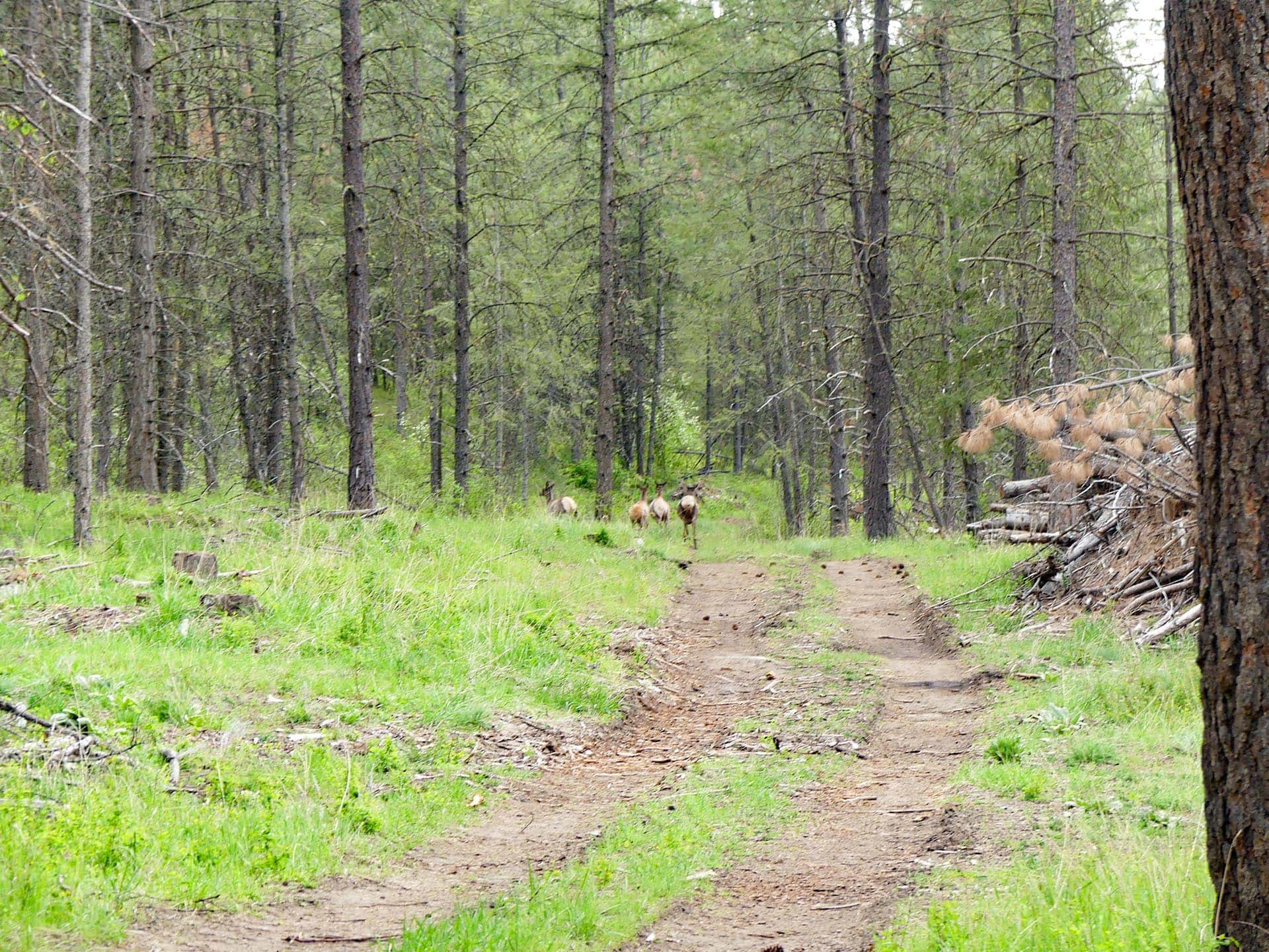 washington scenic ranch property elk ridge