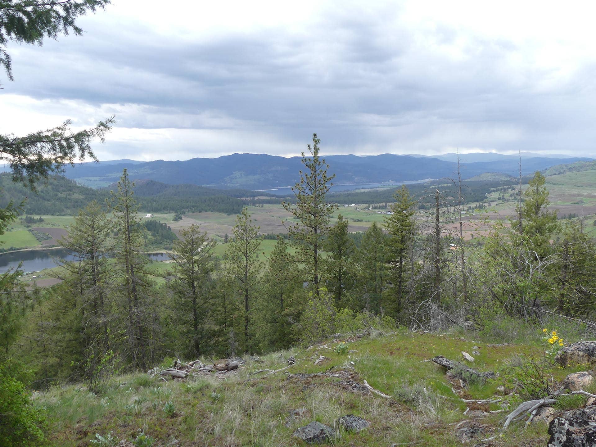 Forested hillside in the foreground overlooks a green valley and distant blue mountains under a cloudy sky.