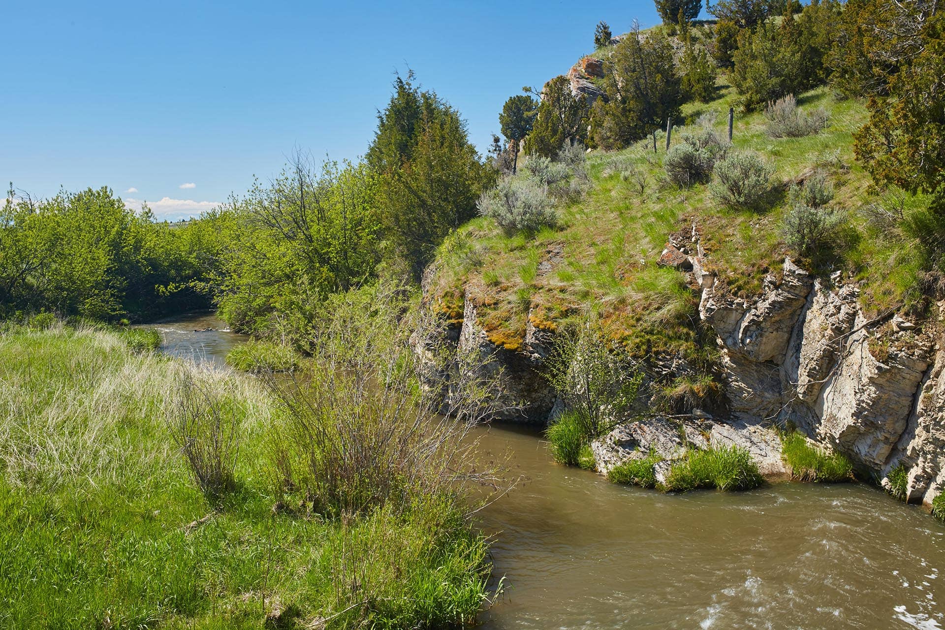 Rugged riverbank with rocky cliff, green grasses and shrubs, and trees along the slope under a blue sky.