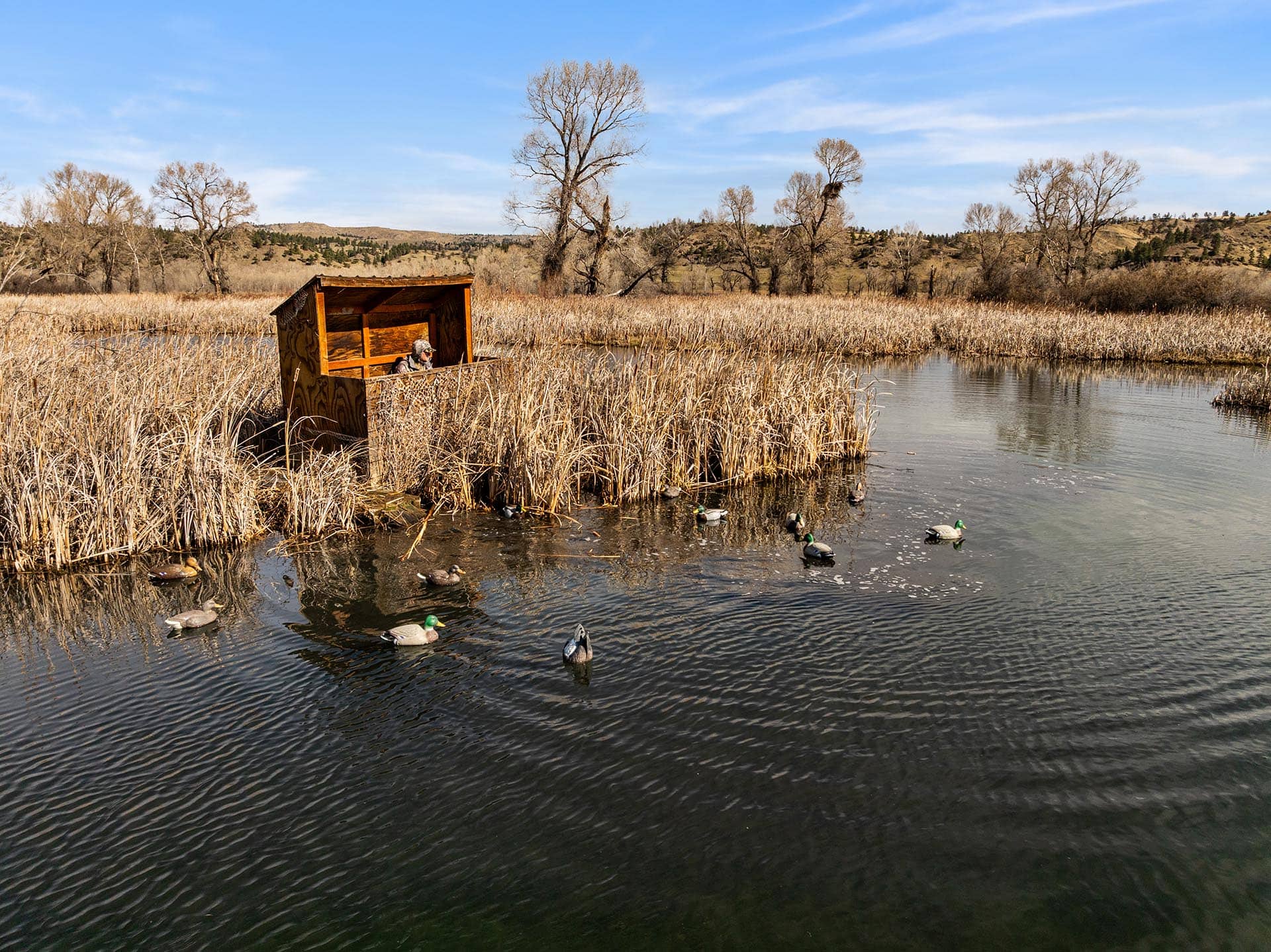 waterfowl hunting property for sale view montana mallard springs ranch