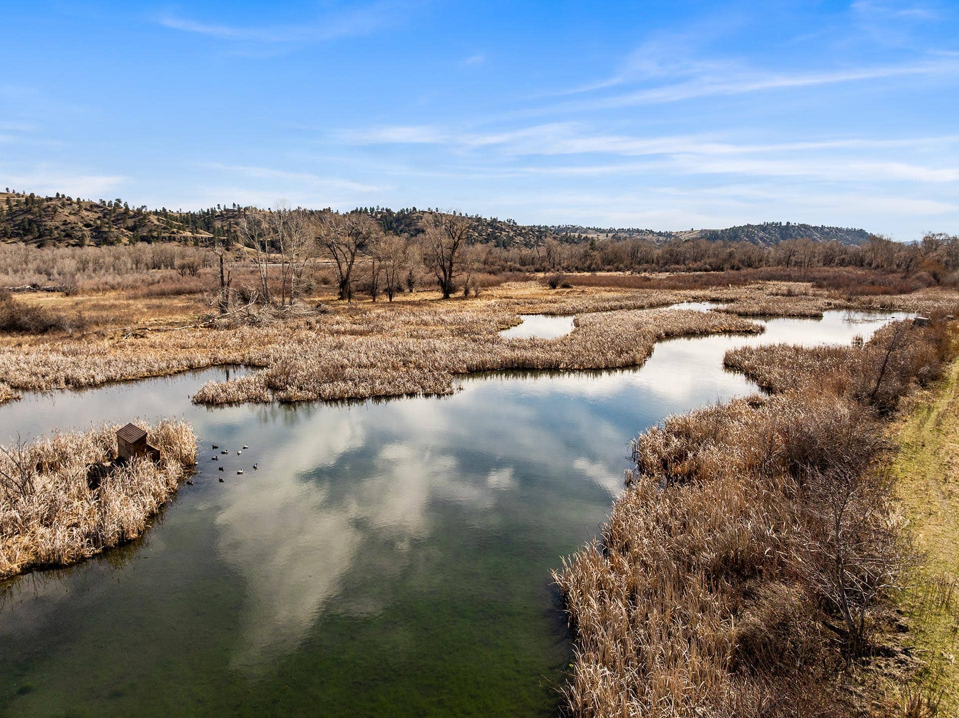 waterfowl hunting property for sale montana mallard springs ranch