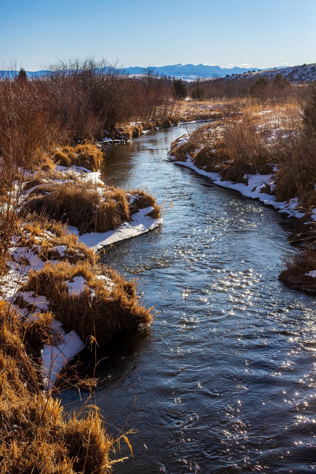 waterfront property for sale montana golden meadow at sxs ranch
