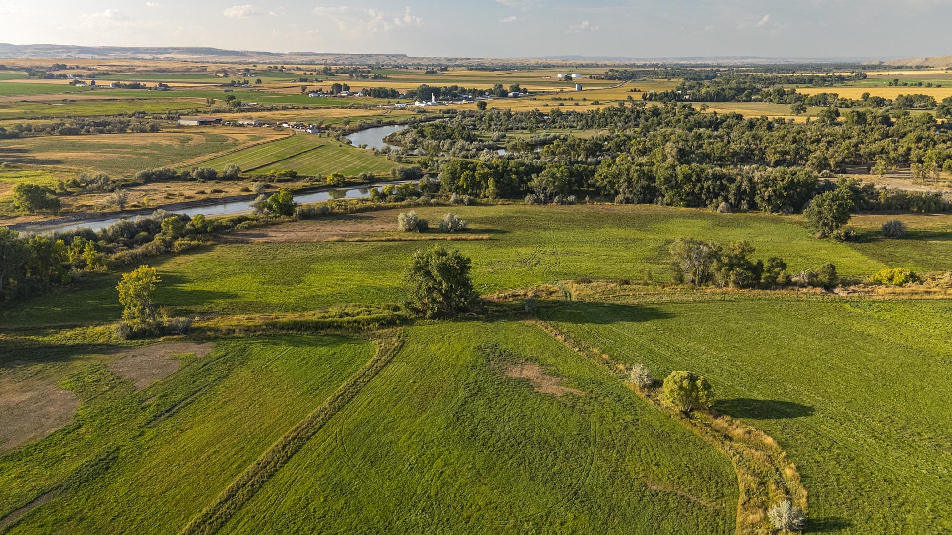 Aerial view of a patchwork farmland with fields, trees, and a winding river under a clear sky.