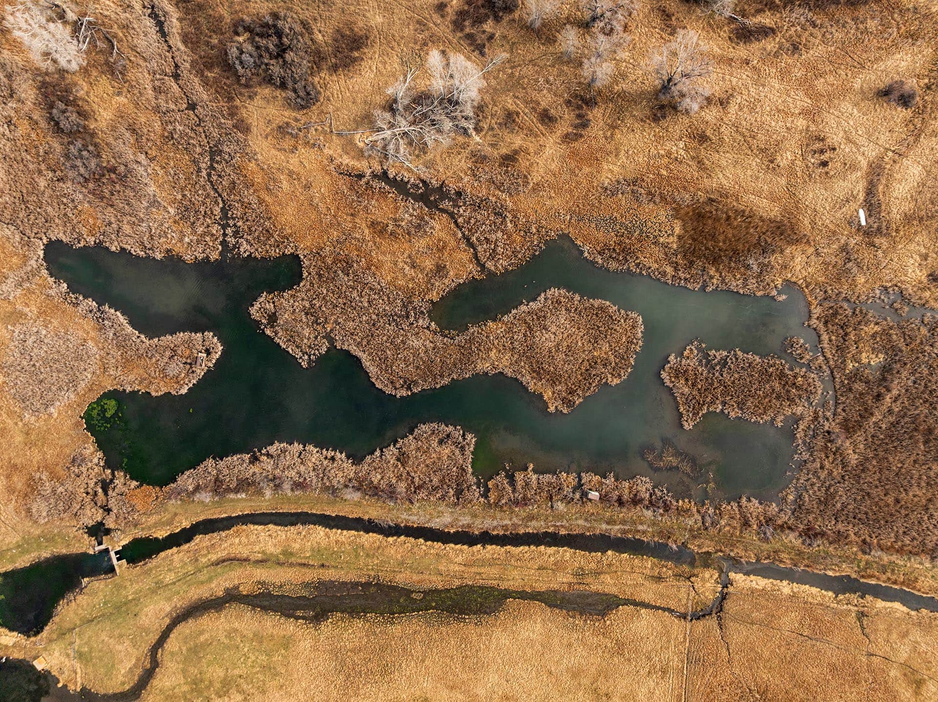 wetland property for sale with winding water channels montana mallard springs ranch