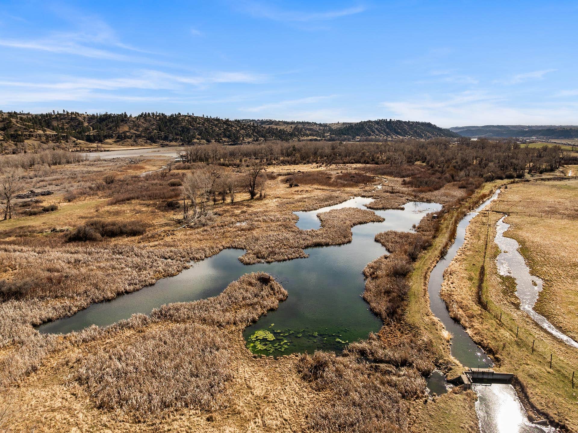 wetlands and agricultural fields land for sale montana mallard springs ranch