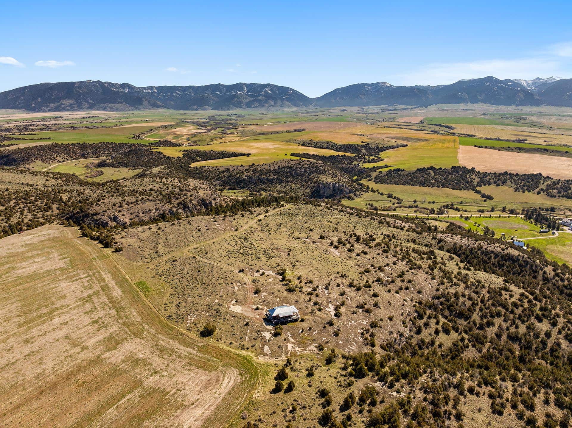 wildlife montana dry creek wilderness at sxs ranch