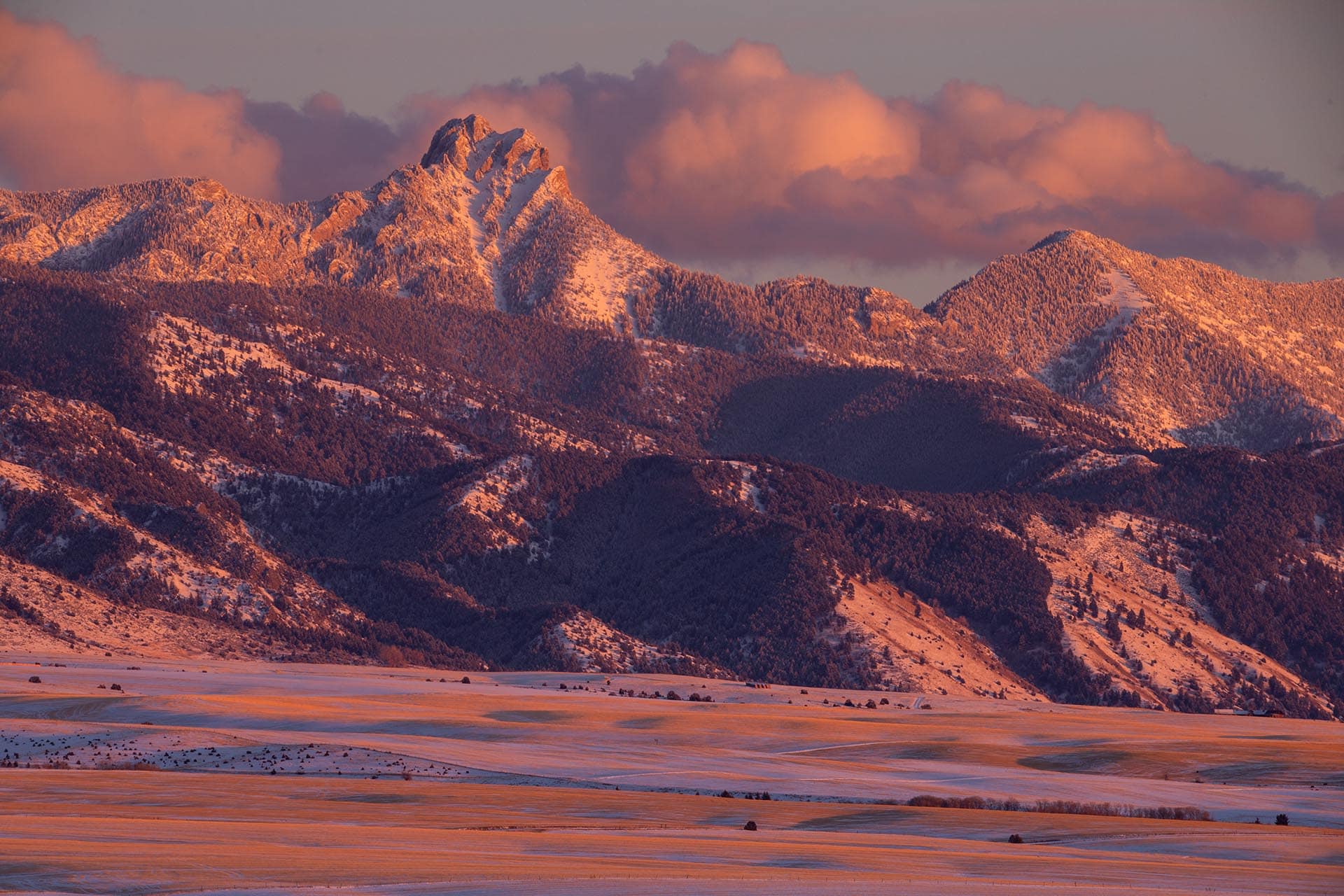 winter bridger mountains montana whitetail hollow at sxs ranch