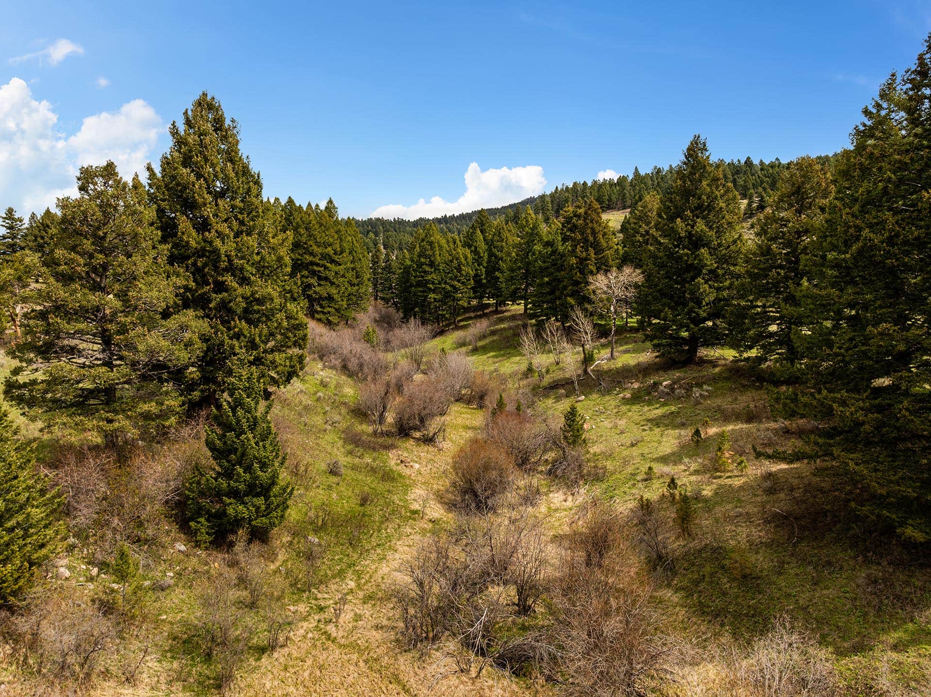 wooded valley land montana montana harrison hollow