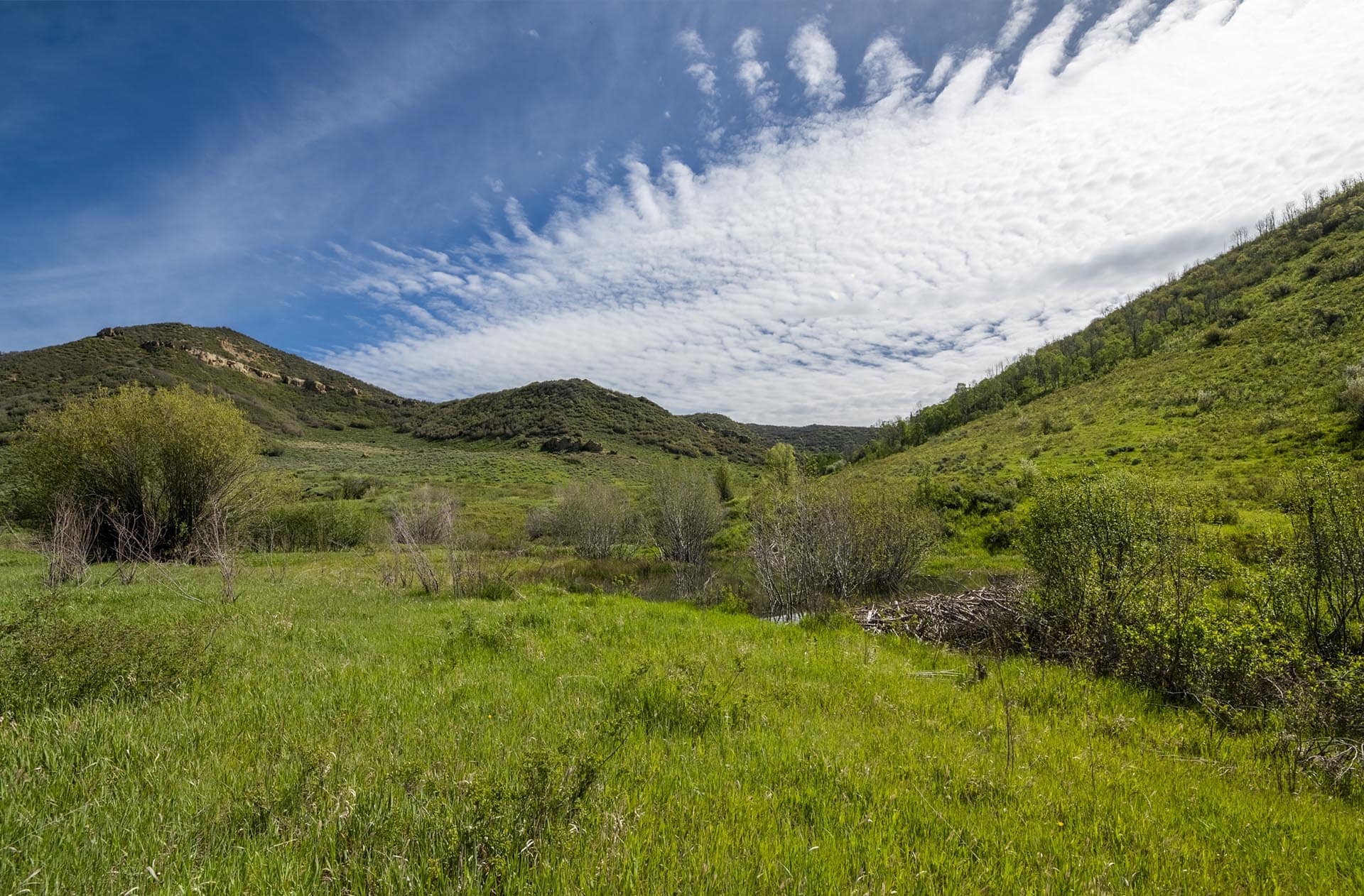 1031 tax colorado doc utterback elk ranch