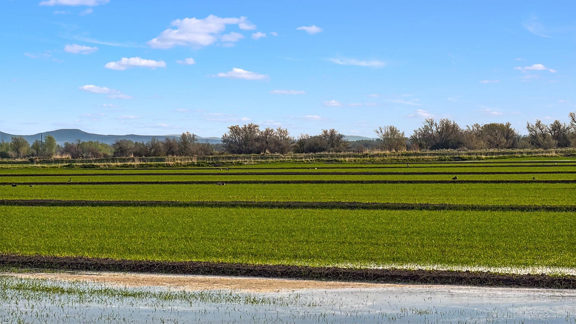 188 acres for sale in idaho oxbow crescent