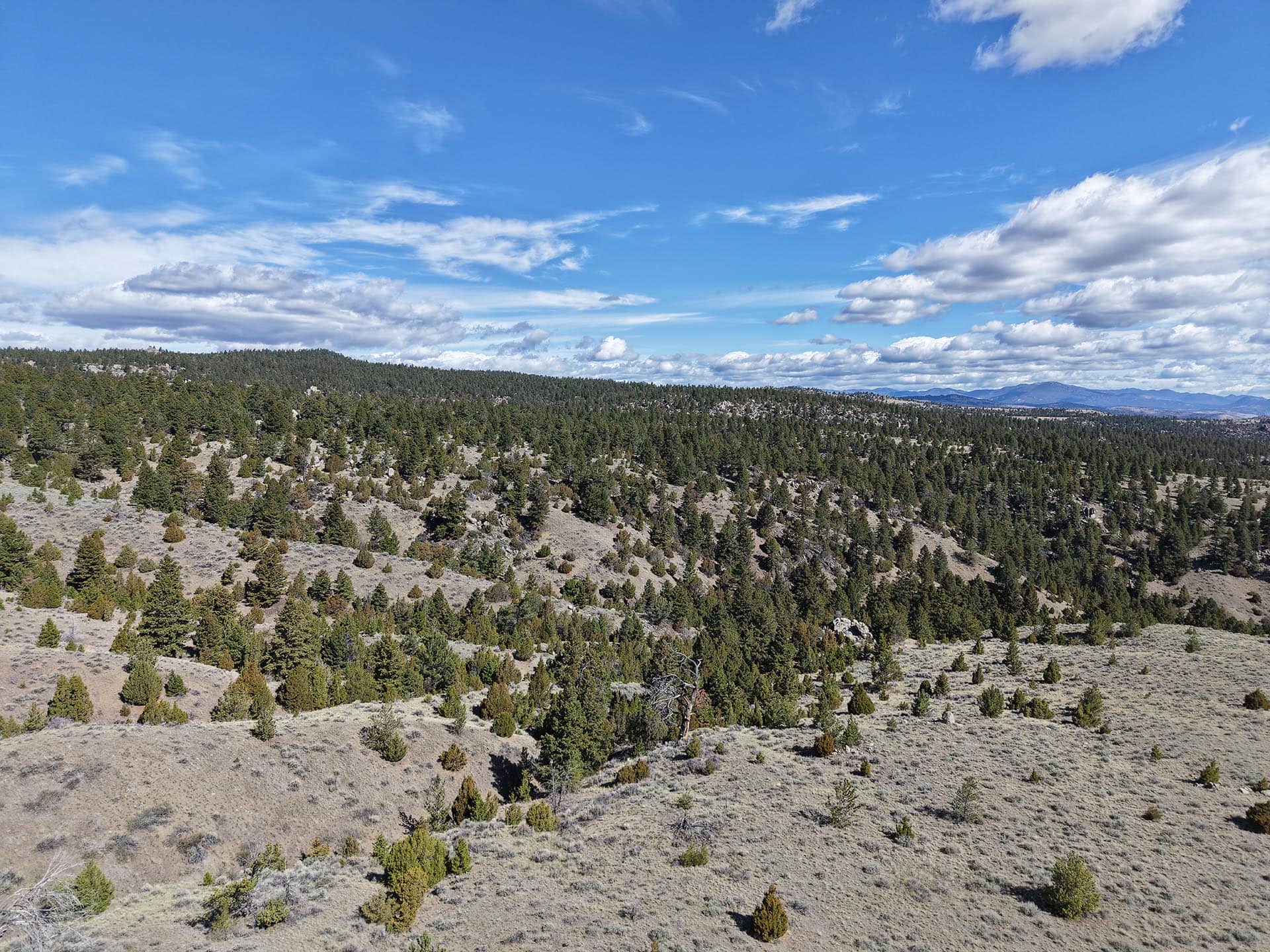 306 acres for sale montana little fish creek lookout