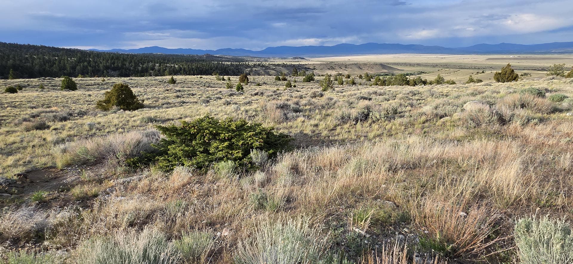 306 acres for sale montana little fish creek lookout