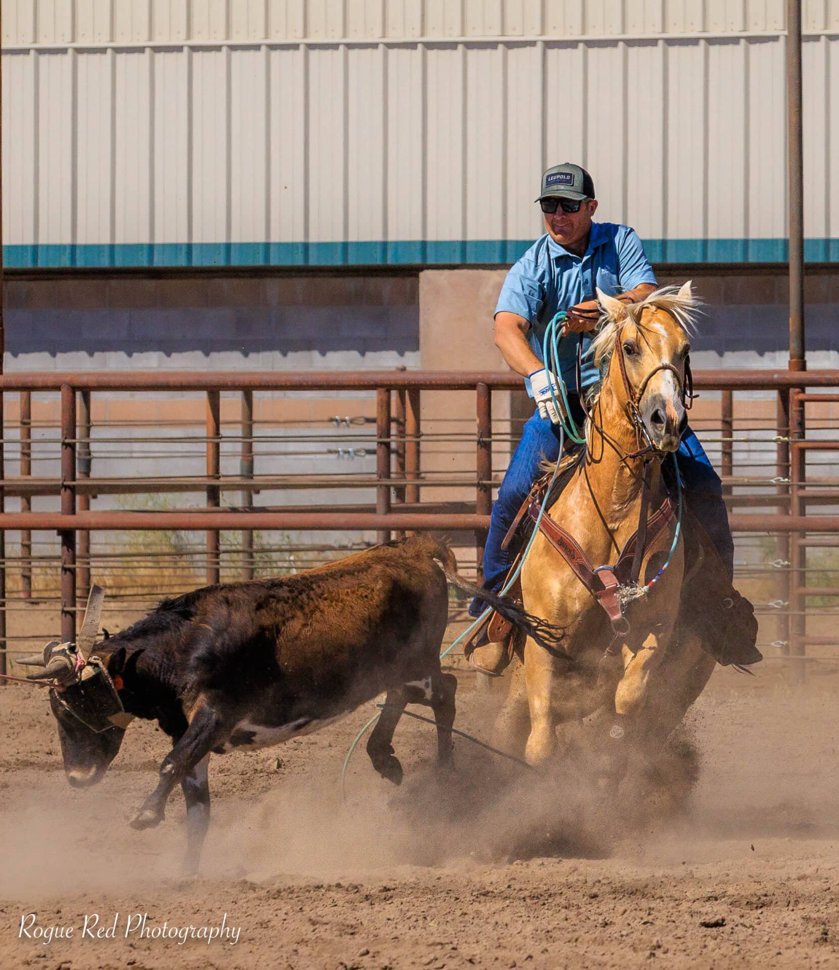 Austin Stafford Fay Ranches Cattle Properties
