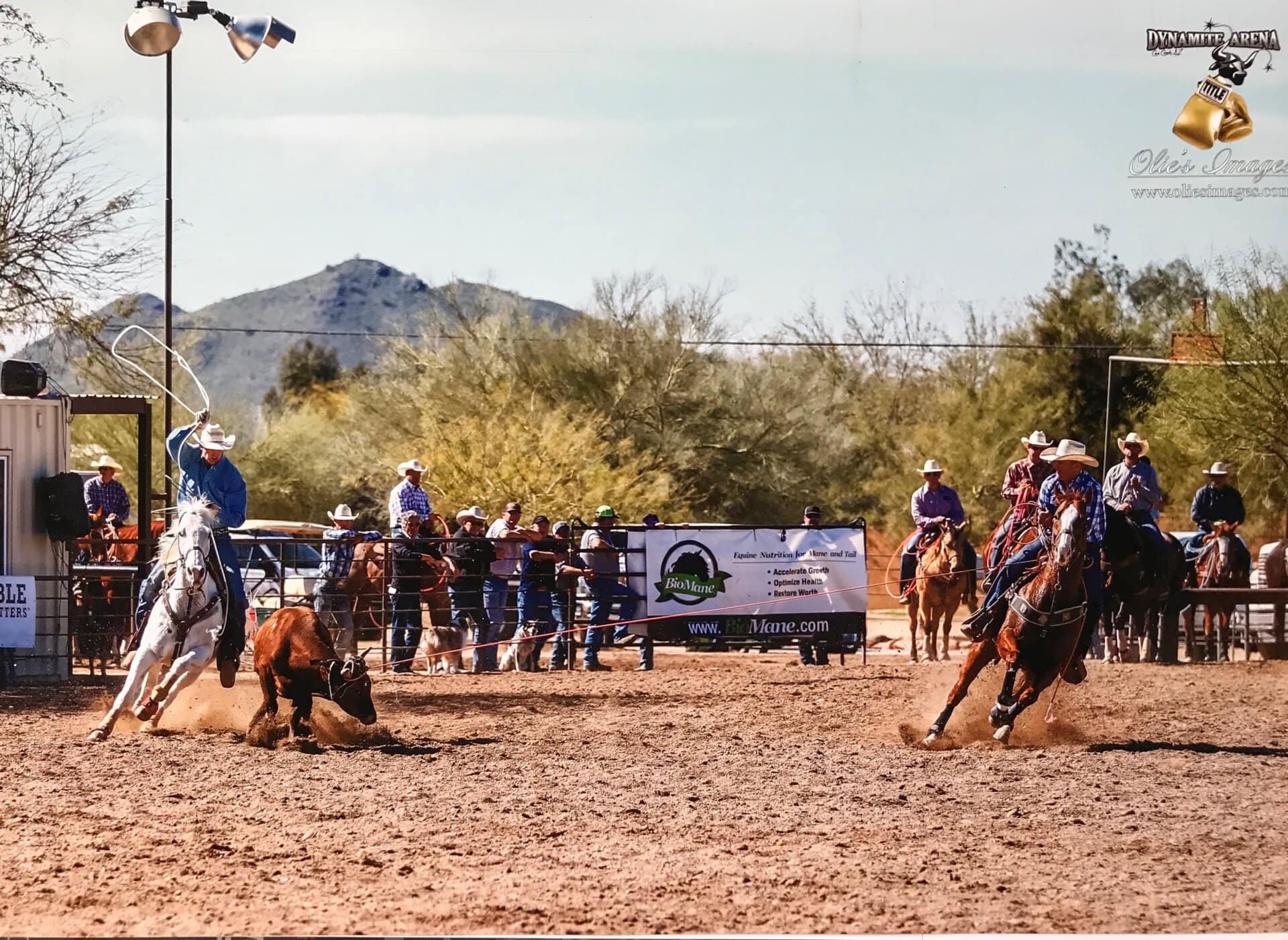 Austin Stafford Fay Ranches Equestrian Broker