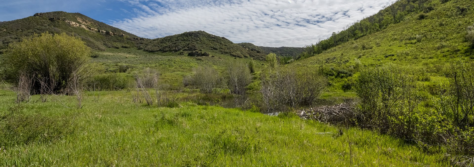 Colorado ranch for sale doc utterback elk ranch