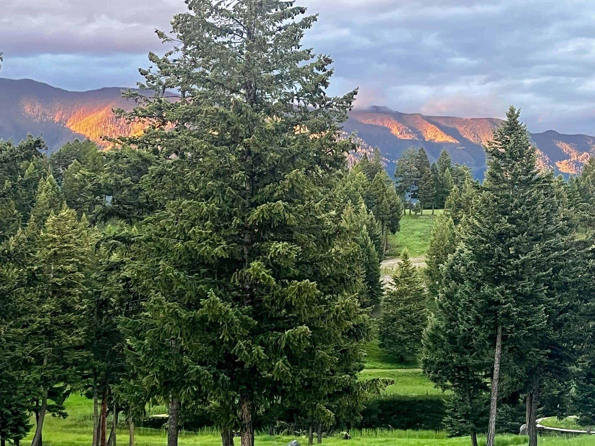 Mountain Glow montana fortine creek overlook estate