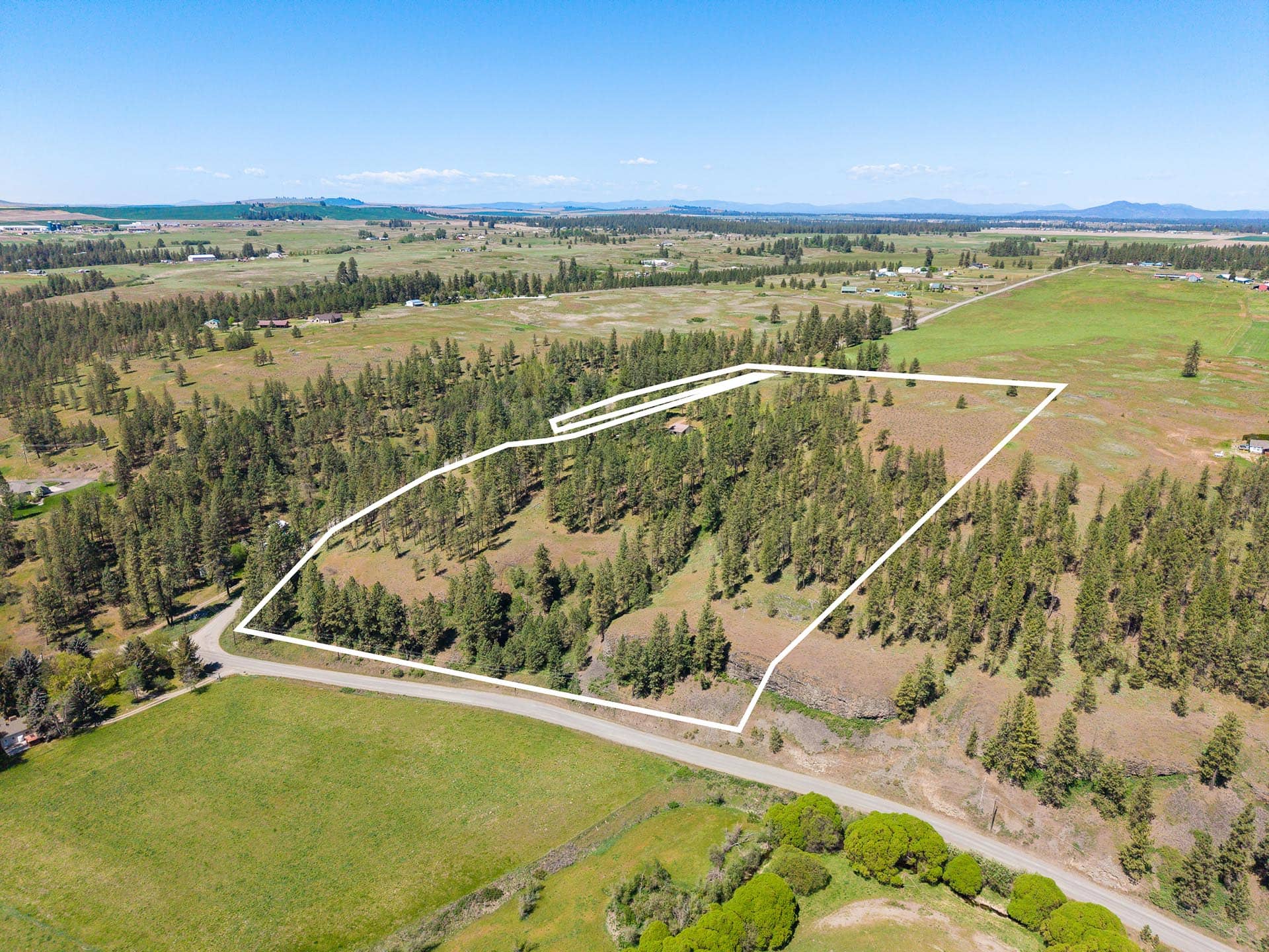 Timber Parcel washington Pierson Place