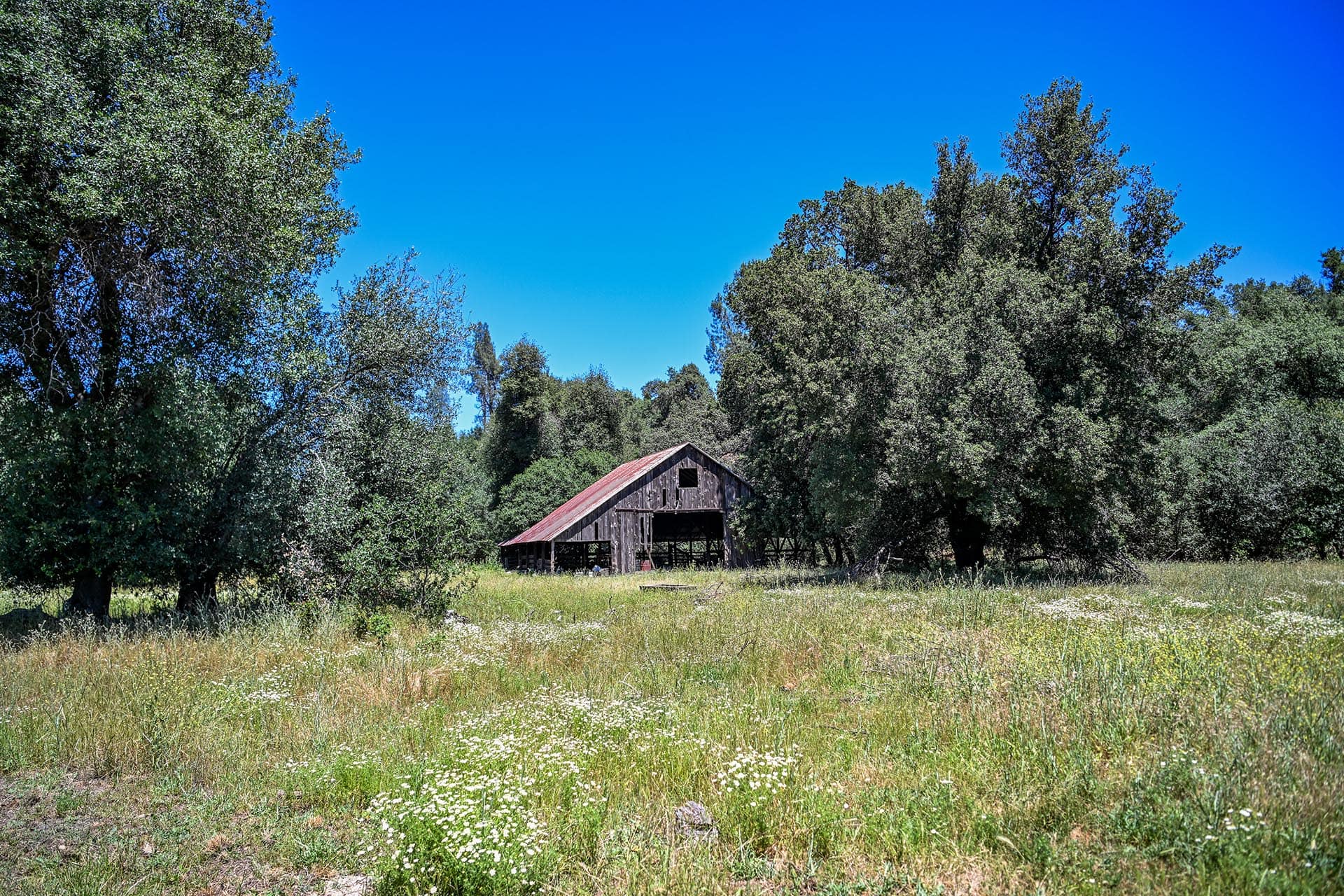 acreage with old barn for sale california churn creek ranch
