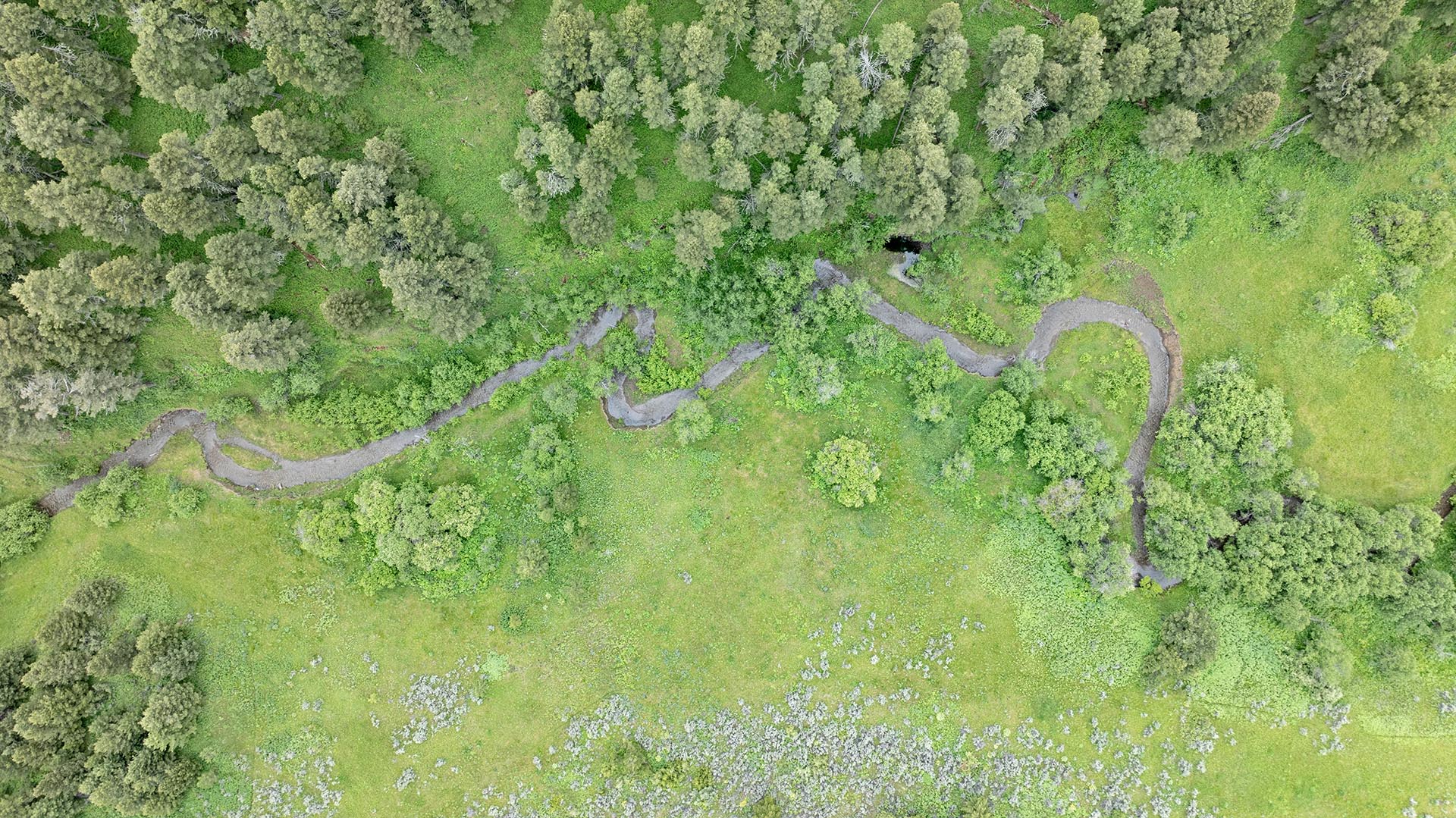 aerial view timbered creek land montana north bridger hunting retreat
