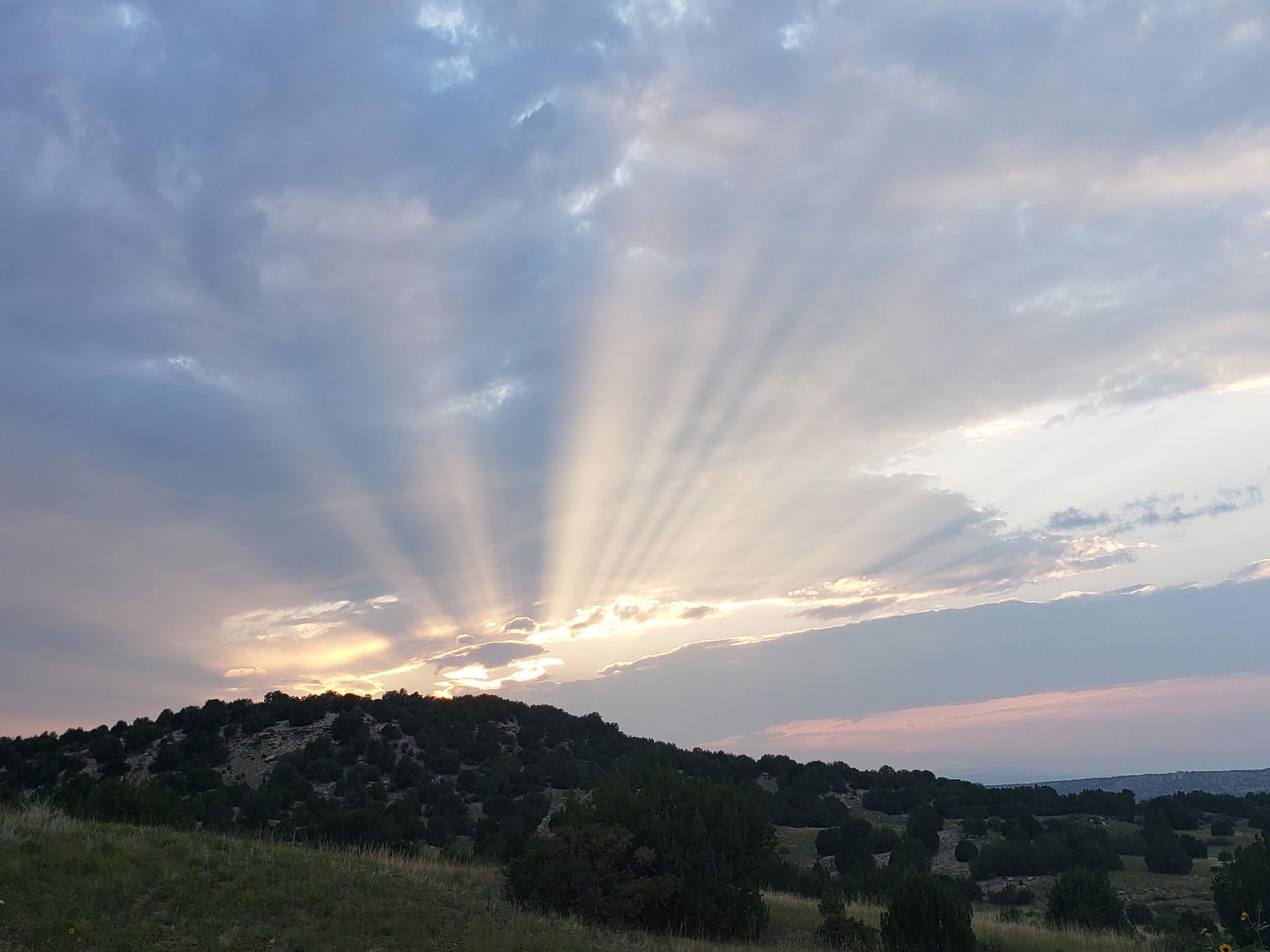 Sunbeams radiate from behind clouds over a hill country at sunset, with trees dotting the hillside and a grassy foreground