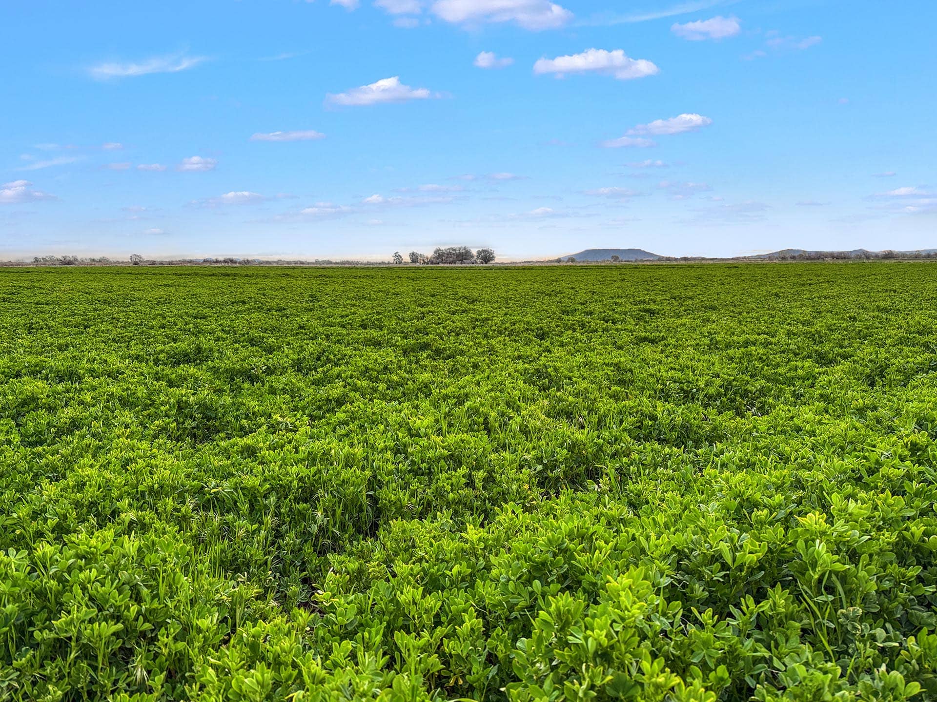 ag production land idaho oxbow crescent