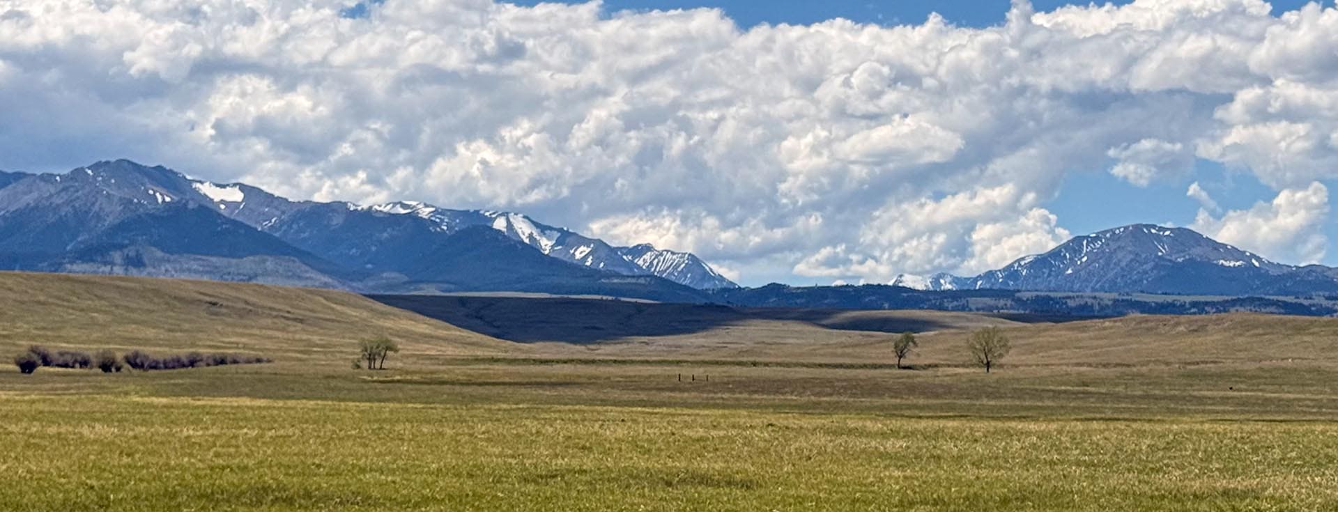 ag production montana crazy views ranch