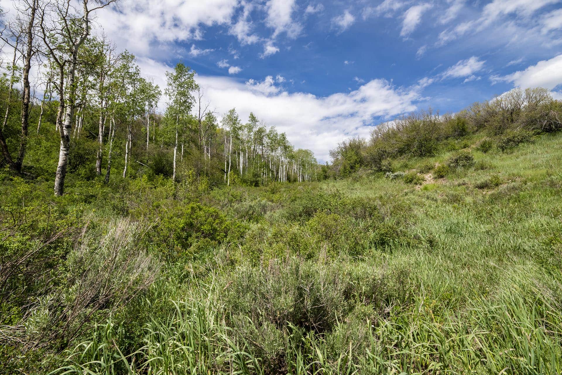 archery guides colorado doc utterback elk ranch