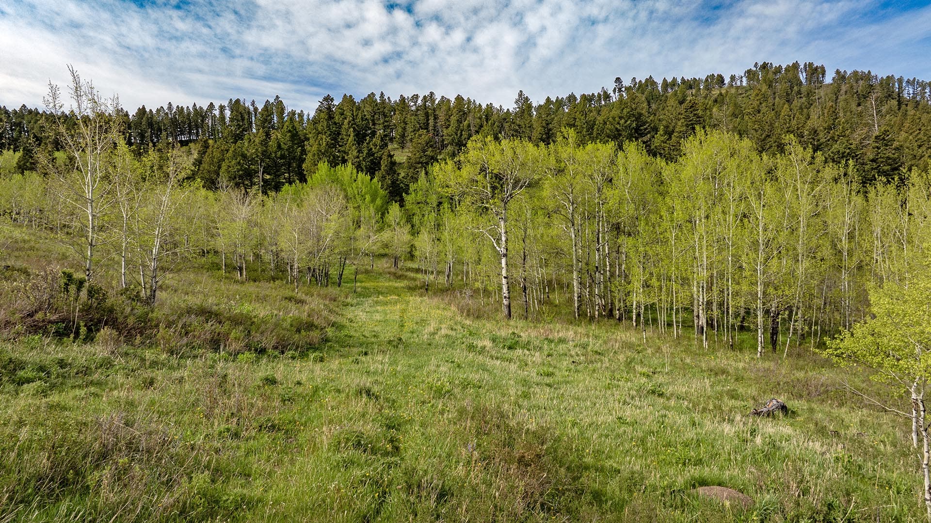 aspen grove property for sale montana east bridger preserve