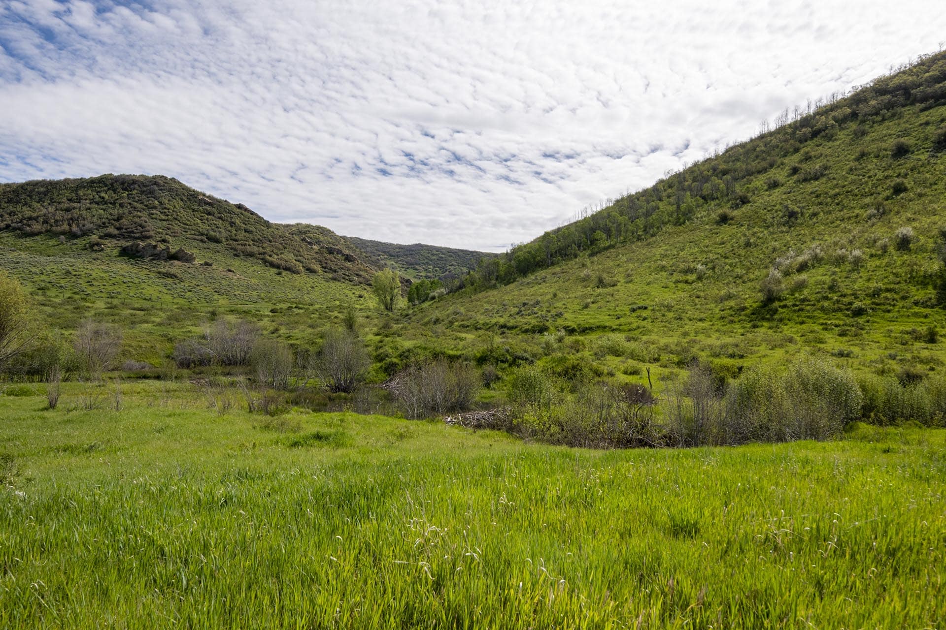 best land brokerage colorado doc utterback elk ranch