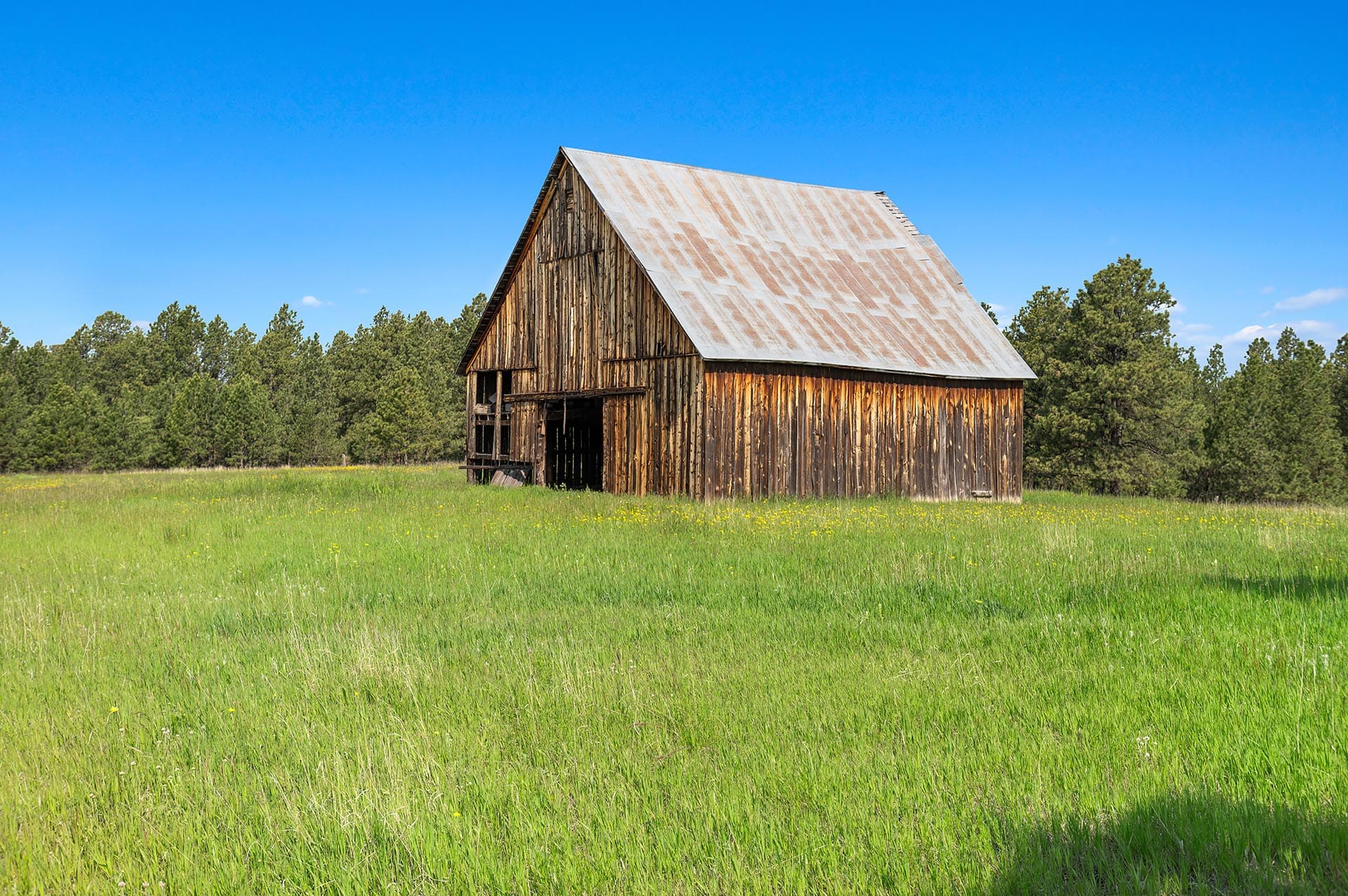 Weathered wooden barn in a grassy field under a clear blue sky.
