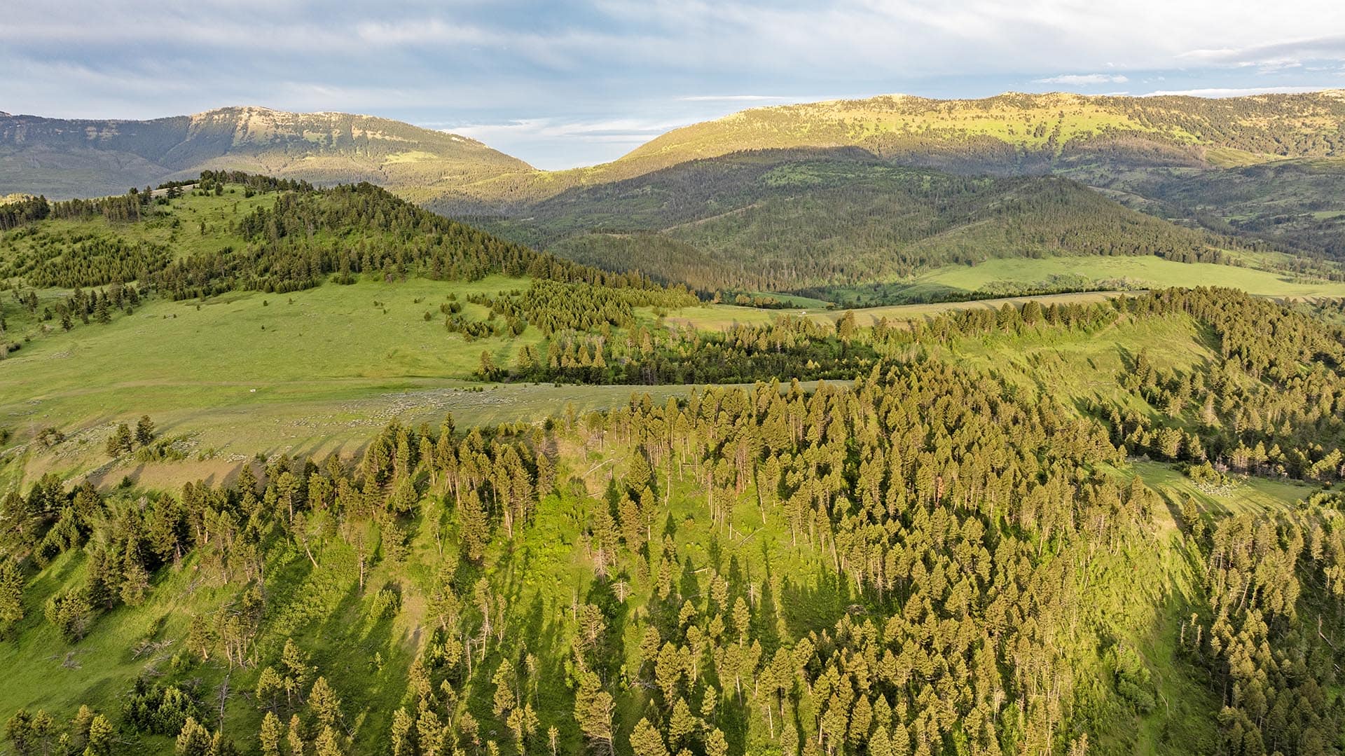 bluff view mountain land montana north bridger hunting retreat