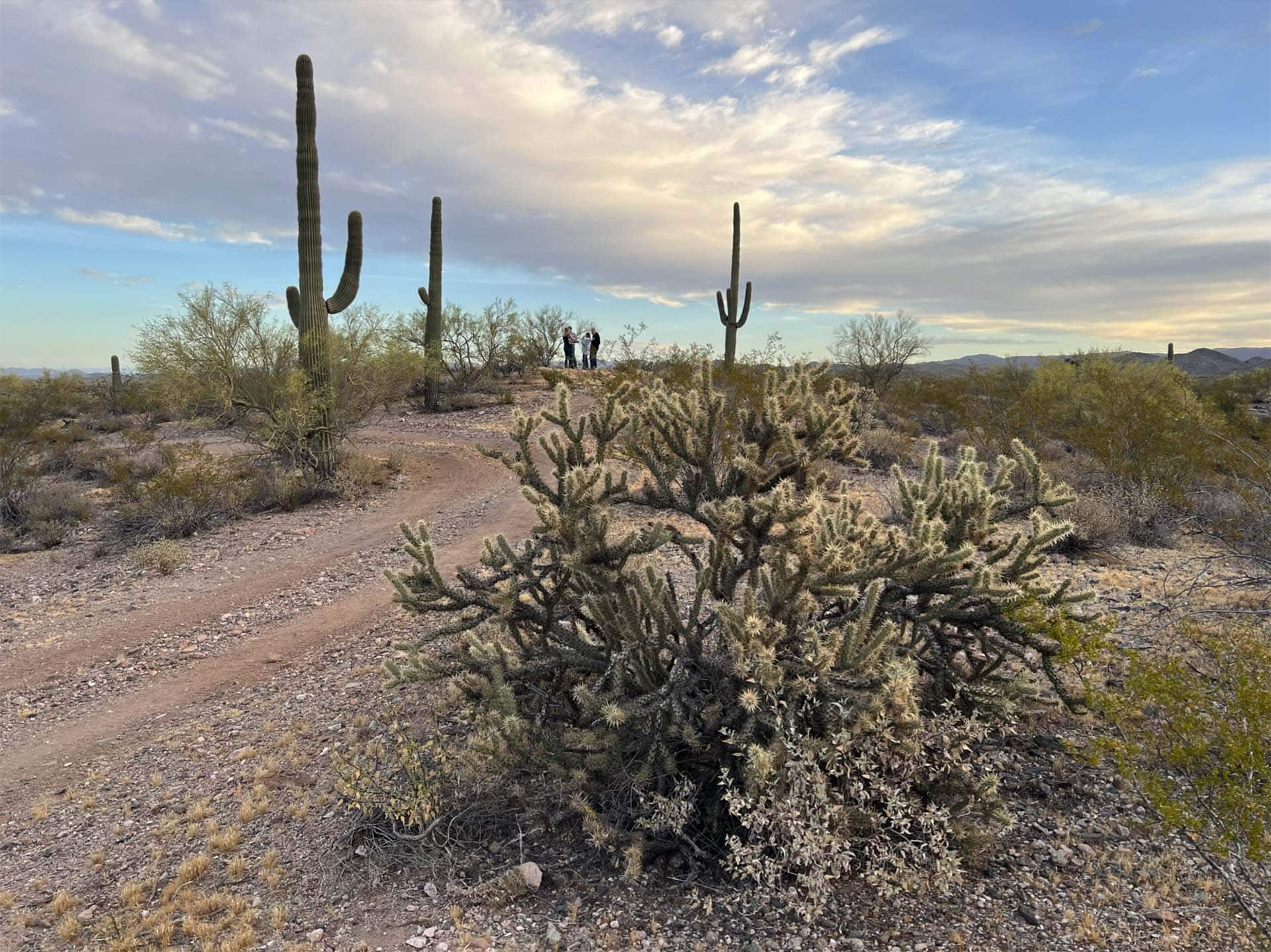 cactus arizona rogers wash gold mine