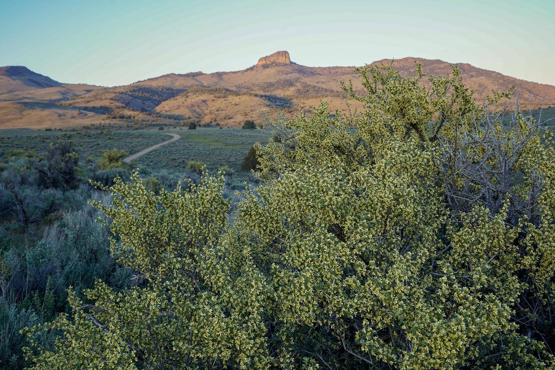 castle rock mountain view land oregon ironside castle rock ranch