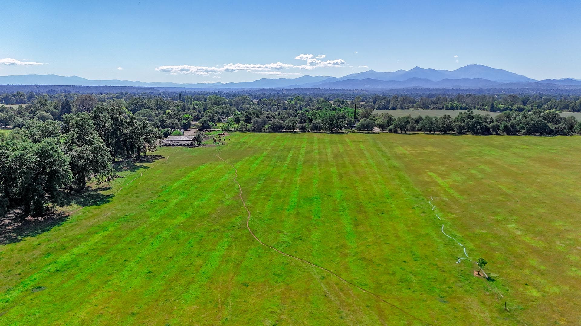 cattle grazing land for sale california churn creek ranch