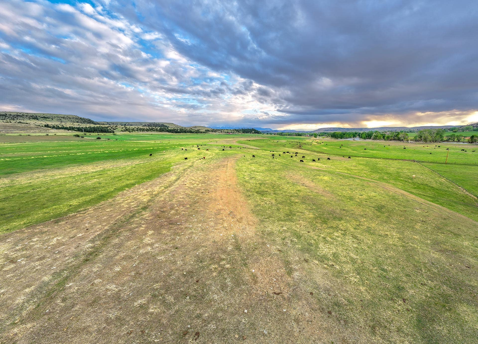 cattle pasture land aerial view montana stillwater riffle ranch