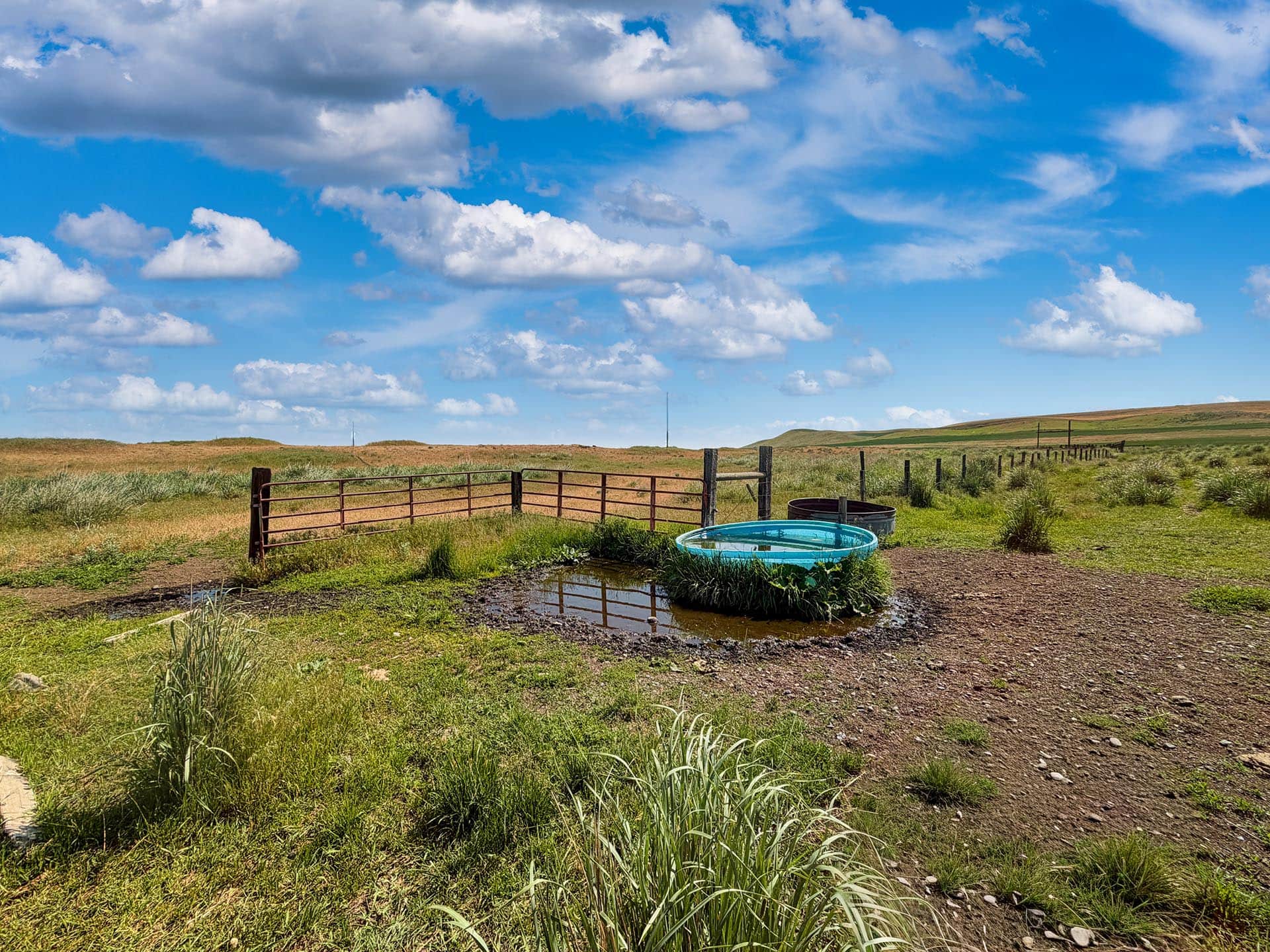 cattle ranches for sale washington kingfish ranch