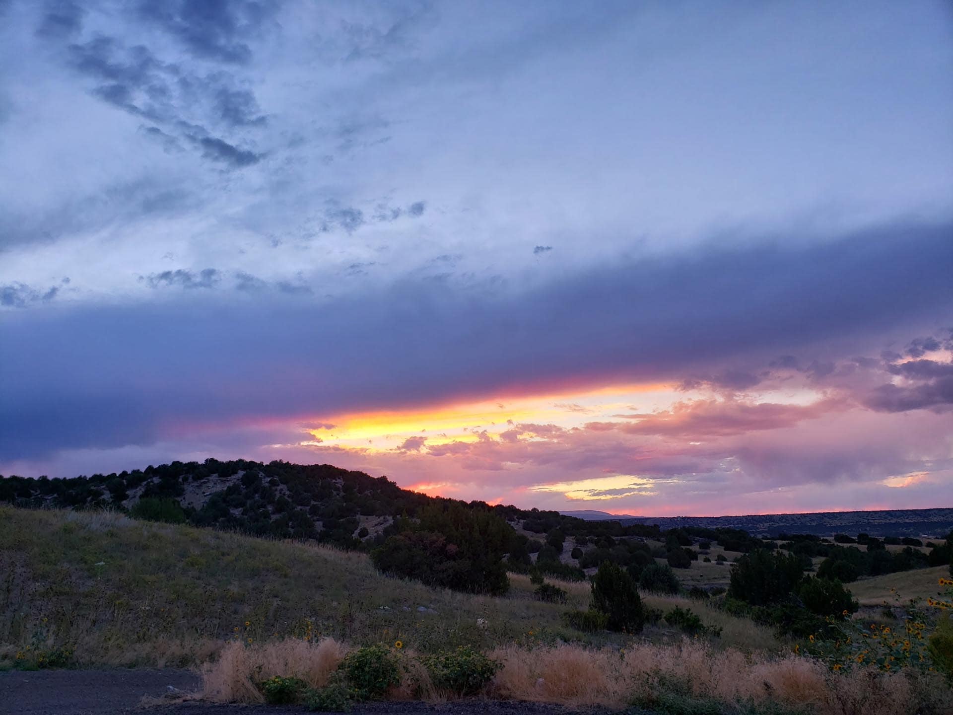 Sunset over rolling hills with purple clouds and a grassy foreground dotted with wildflowers and shrubs.